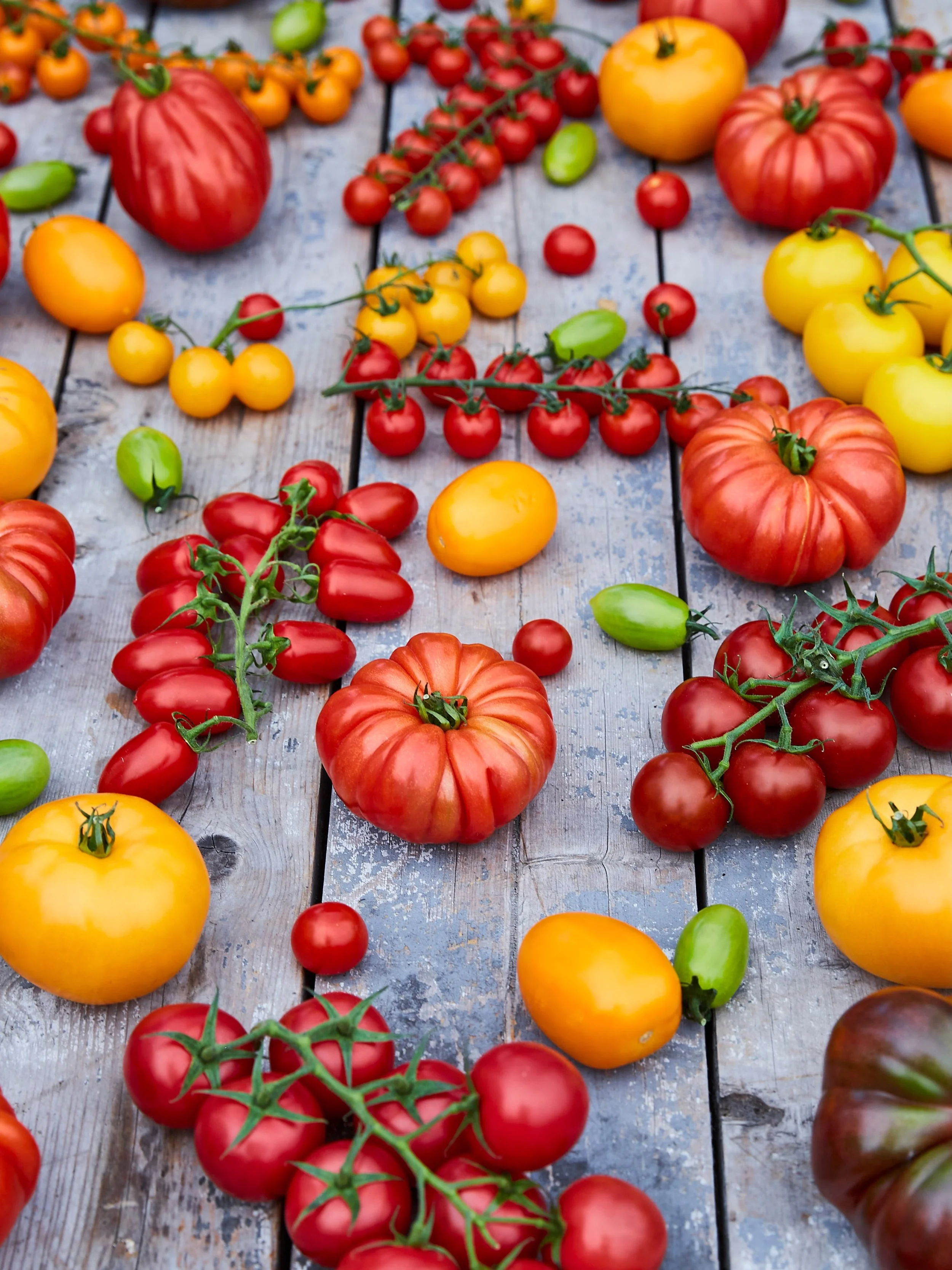 No matter what the weather, @iowtomatoes bring sunshine to the plate. 

#isleofwighttomatoes 
#lovetomatoes 
#bringthesunshine 
#kingfisherfarmshop