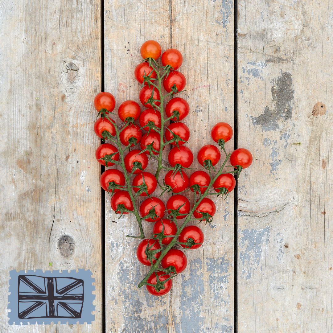 Cherry Tomatoes - £1.49 / vine