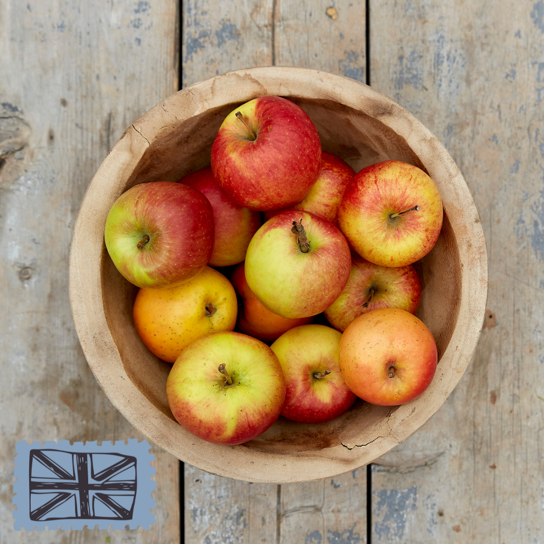 Ringden Farm Apples - 28p each