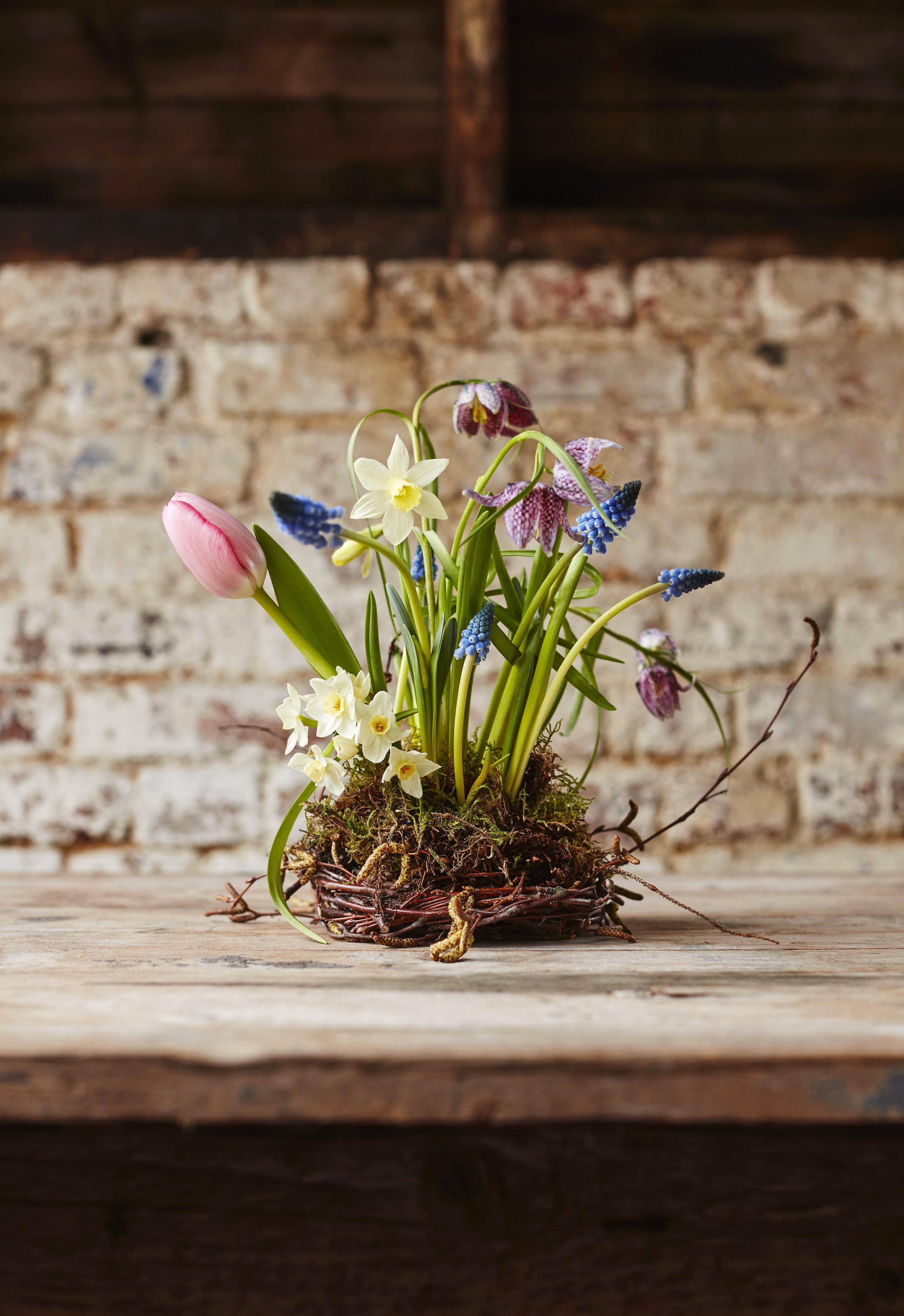 A Nest Full of Spring