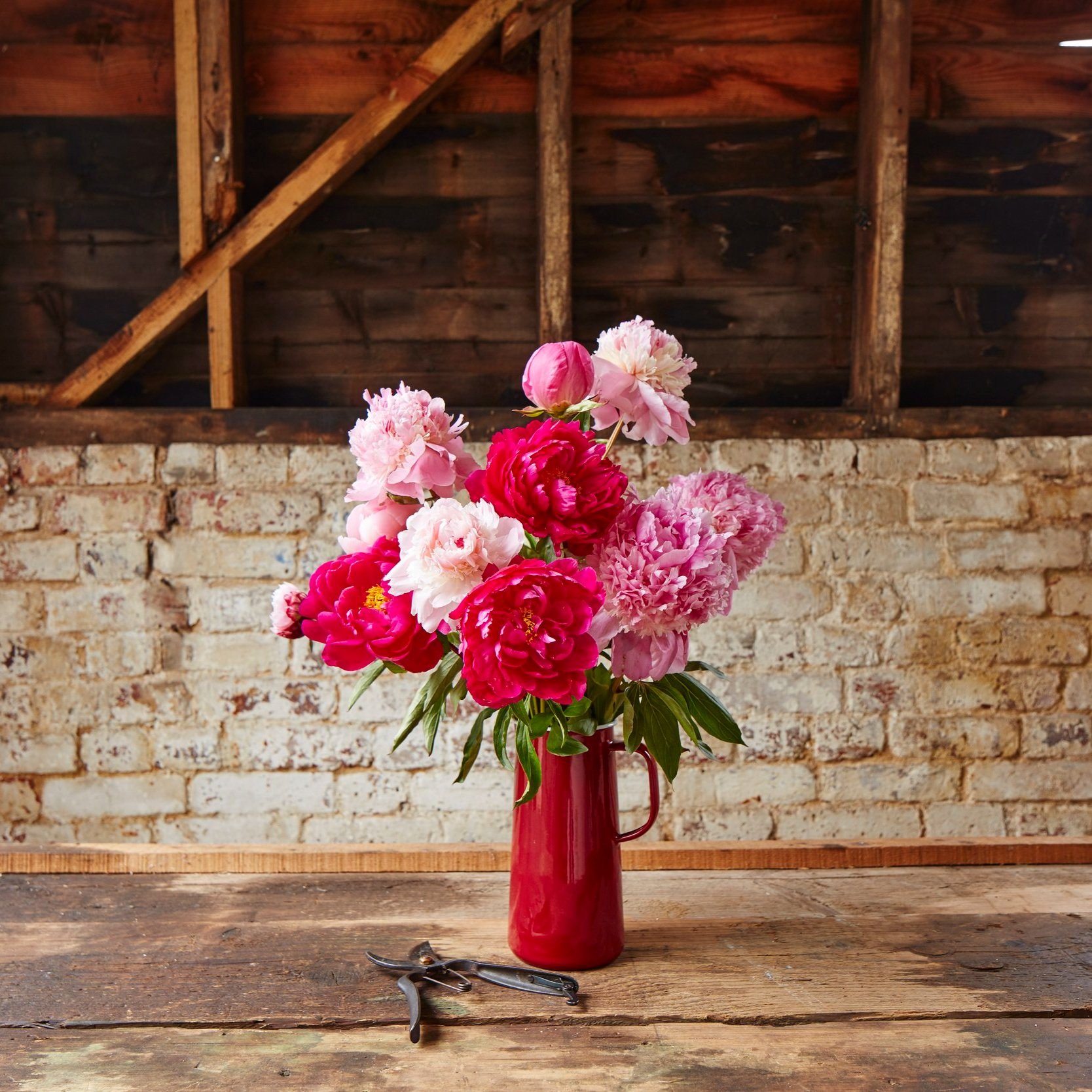 Peony Perfect*