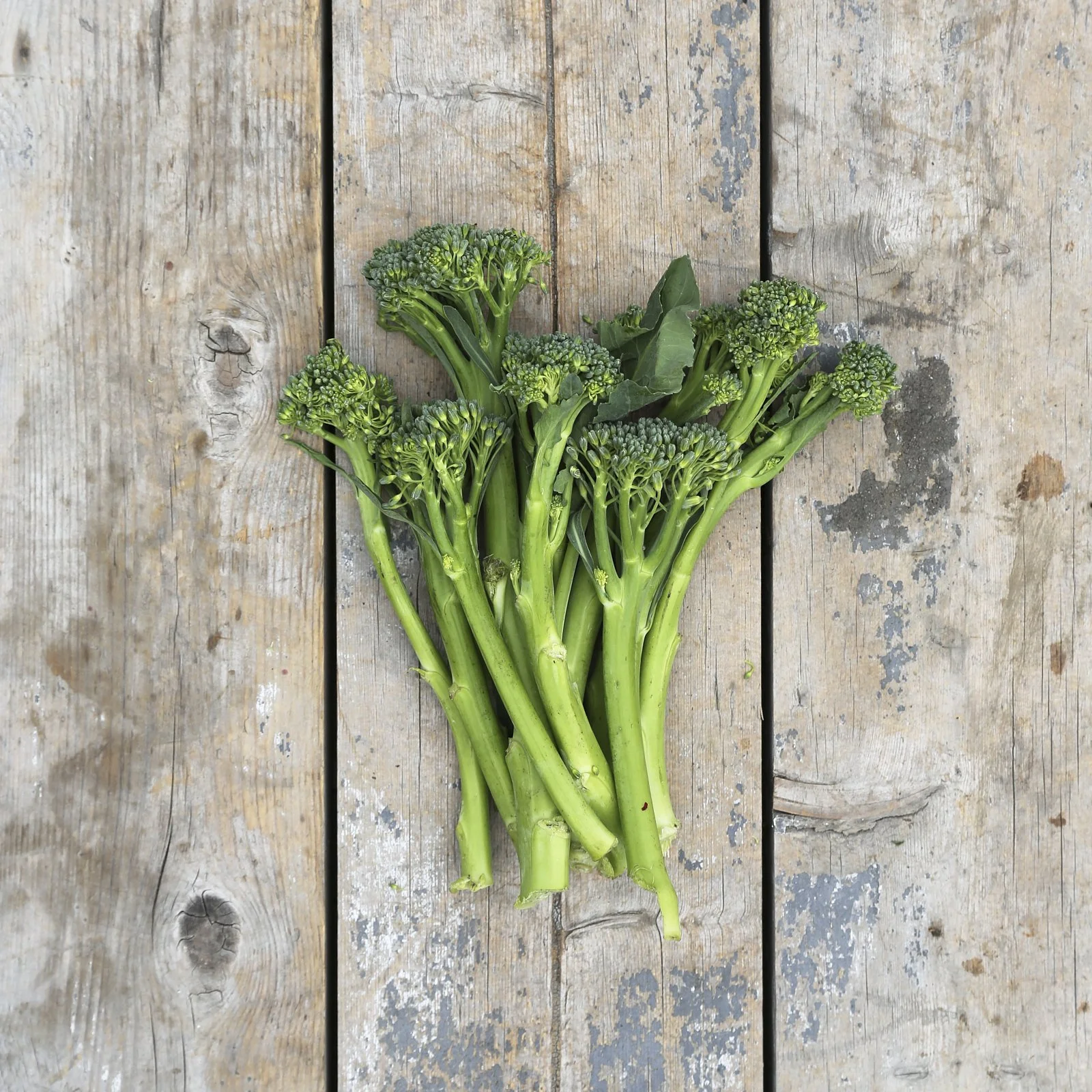 Tender Stem Broccoli /pack