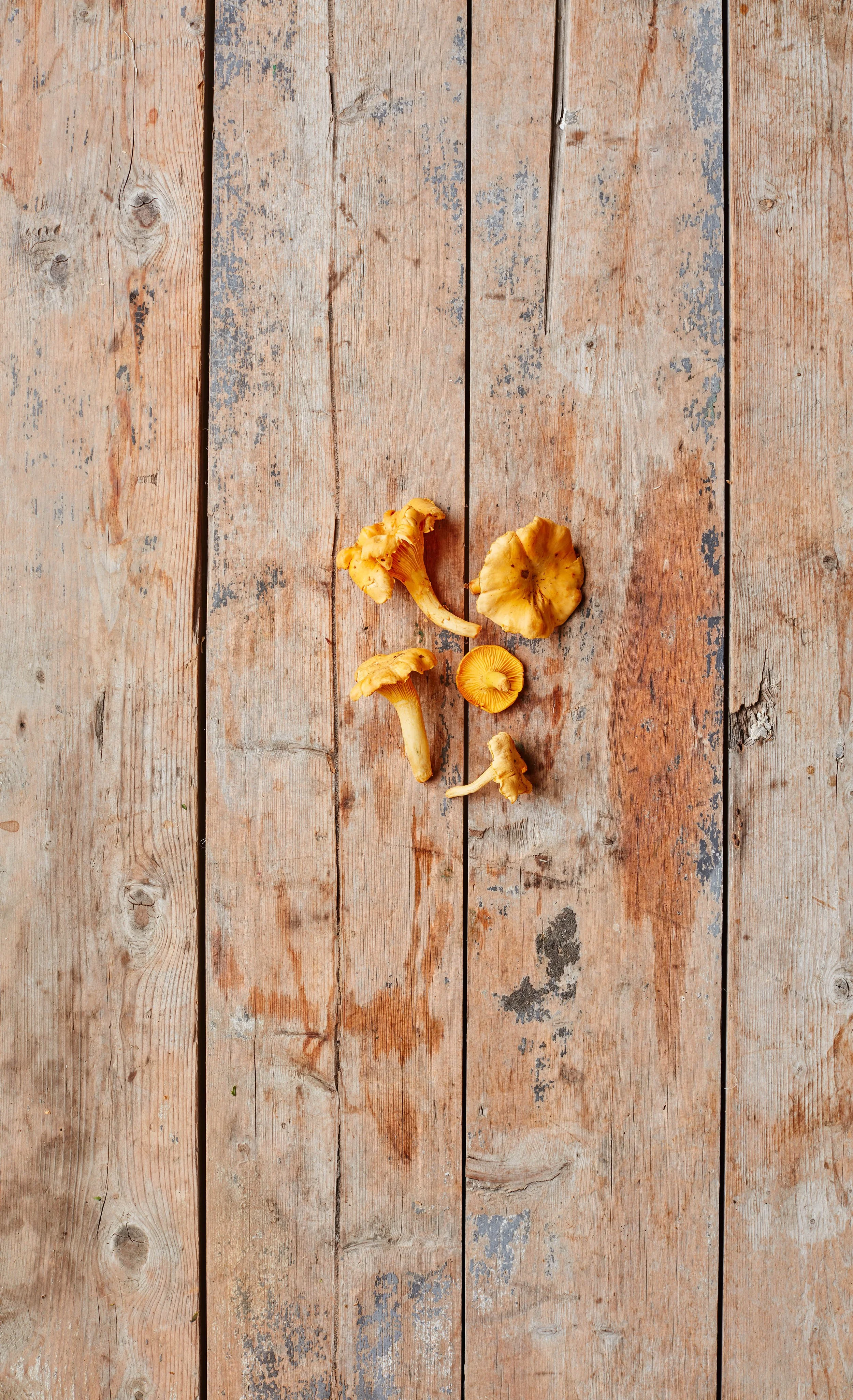 Wild Griolle Mushrooms / 100g