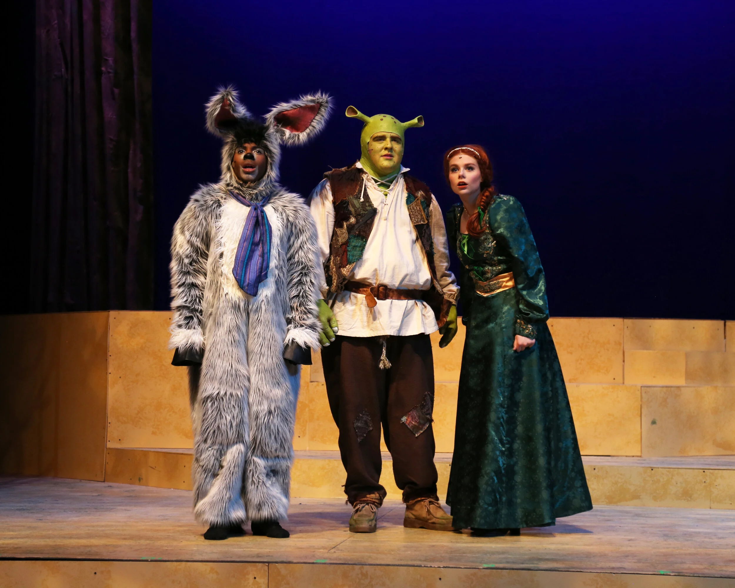 Shrek-057Y7000 copy.JPG