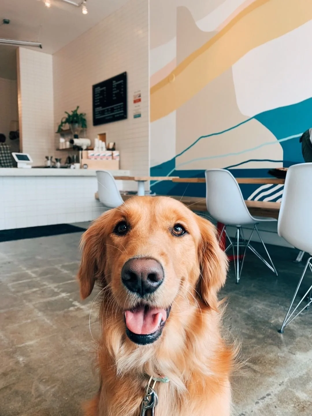 6 Coffee-&-Tea-Collective-Mural-by-Betty-Larkin-San-Diego.JPG