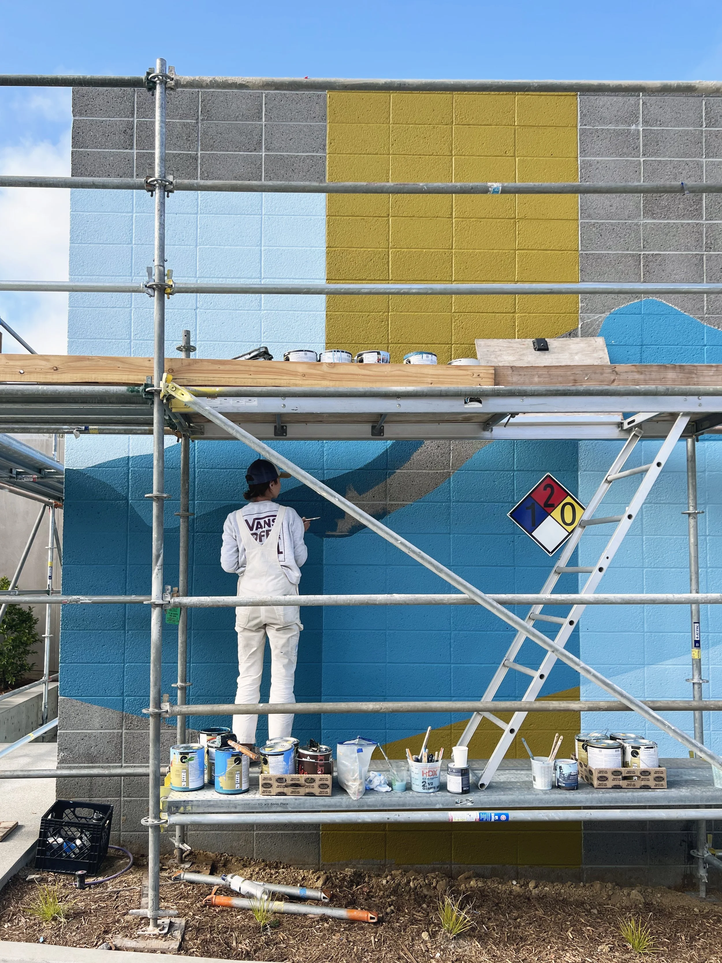 3.2 Torrey-Pines-Labs-Mechanical-Yard-Mural-by-Betty-Larkin-San-Diego-Muralist-and-Interior-Design.jpg