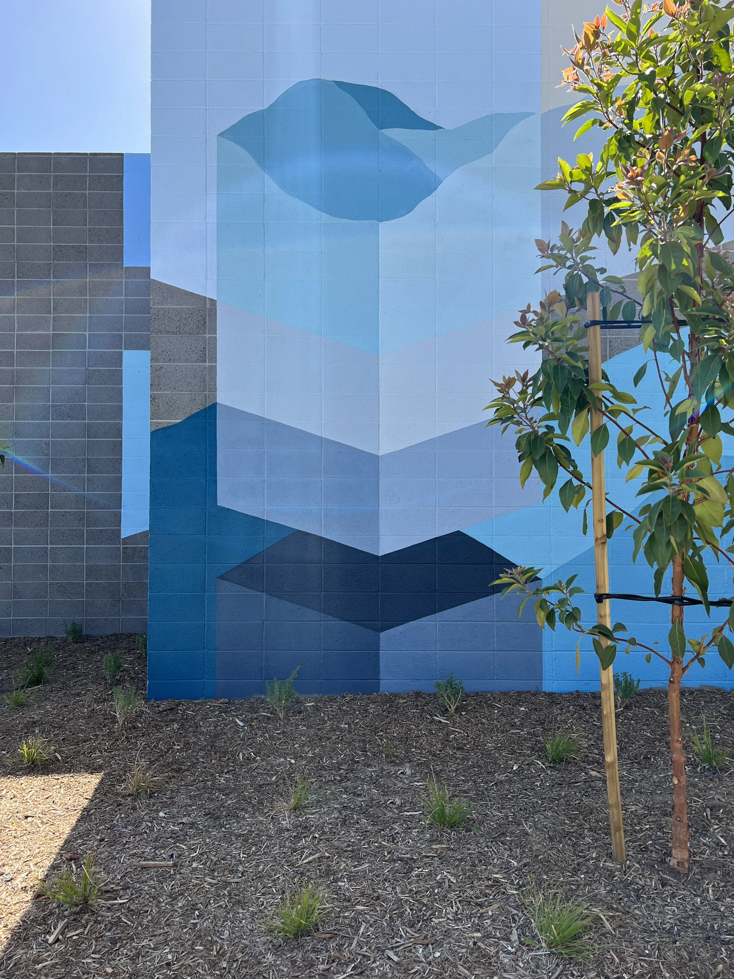 7 Torrey-Pines-Labs-Mechanical-Yard-Mural-by-Betty-Larkin-San-Diego-Muralist-and-Interior-Design.JPG