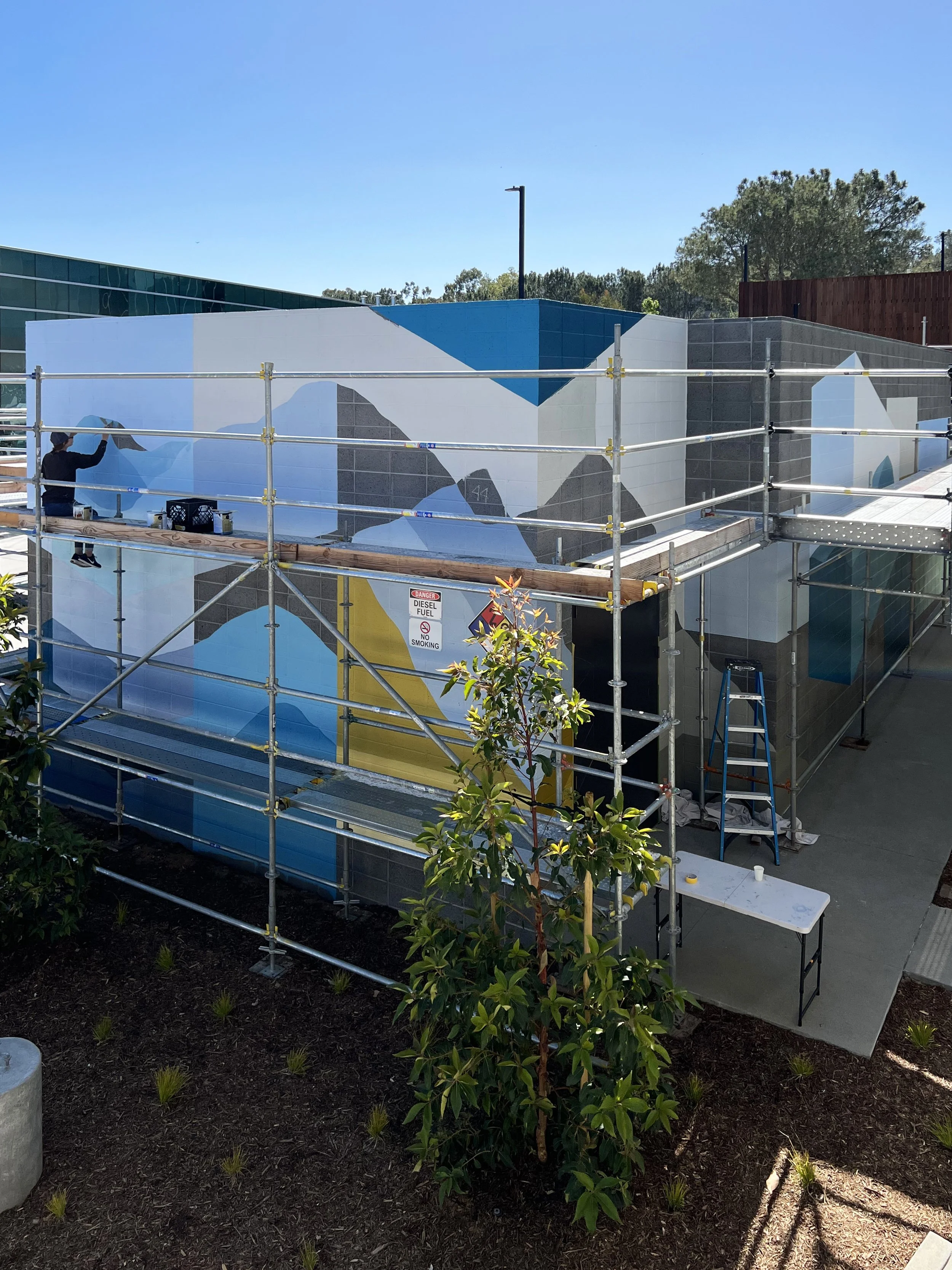 8.1 Torrey-Pines-Labs-Mechanical-Yard-Mural-by-Betty-Larkin-San-Diego-Muralist-and-Interior-Design.jpg