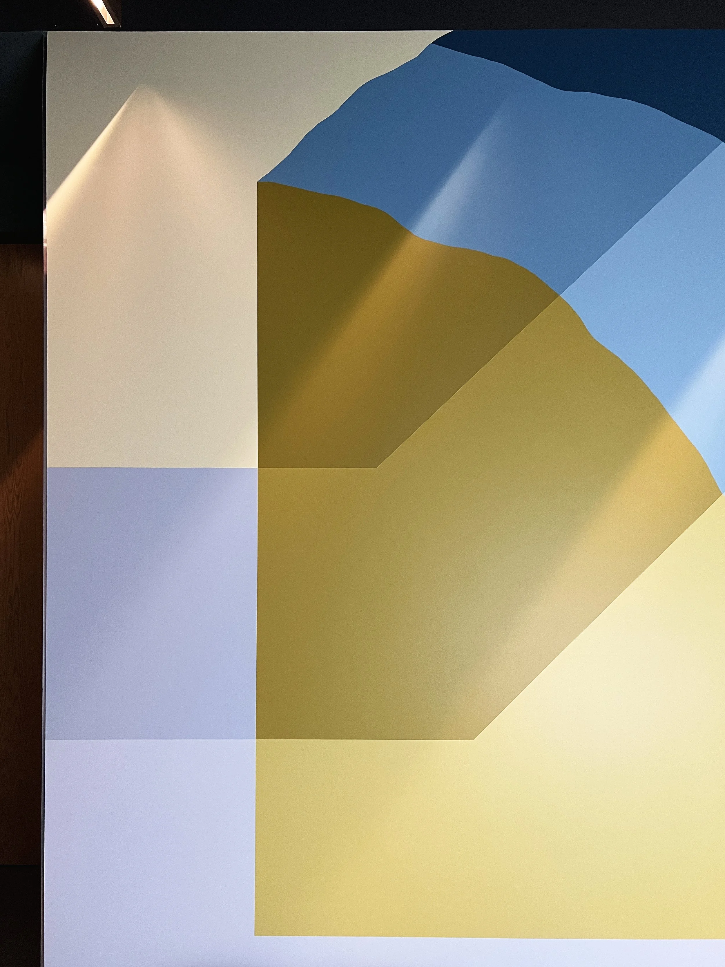 15 Torrey-Pines-Labs-Interior-Mural-by-Betty-Larkin-San-Diego-Muralist-and-Interior-Design.JPG