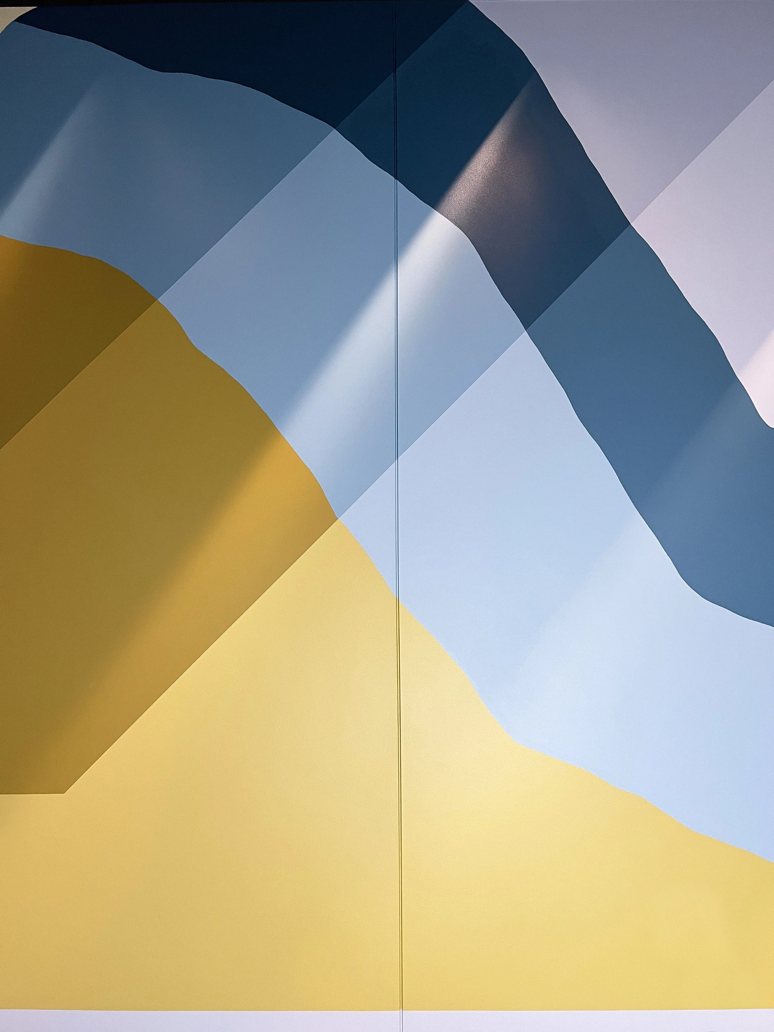 15.1 Torrey-Pines-Labs-Interior-Mural-by-Betty-Larkin-San-Diego-Muralist-and-Interior-Design.JPG