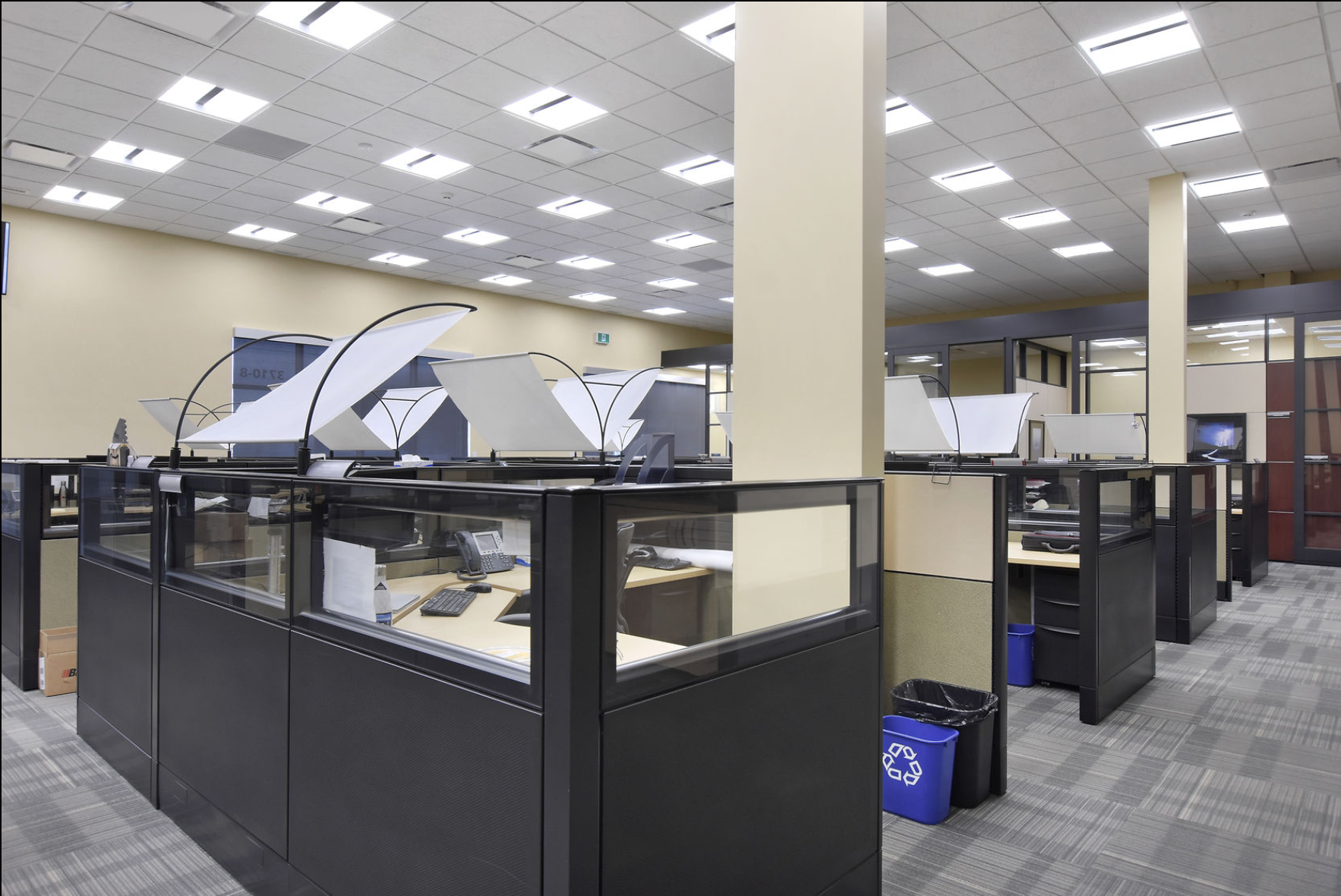 Screen Shot 2019-08-28 at 9.10.46 AM.png