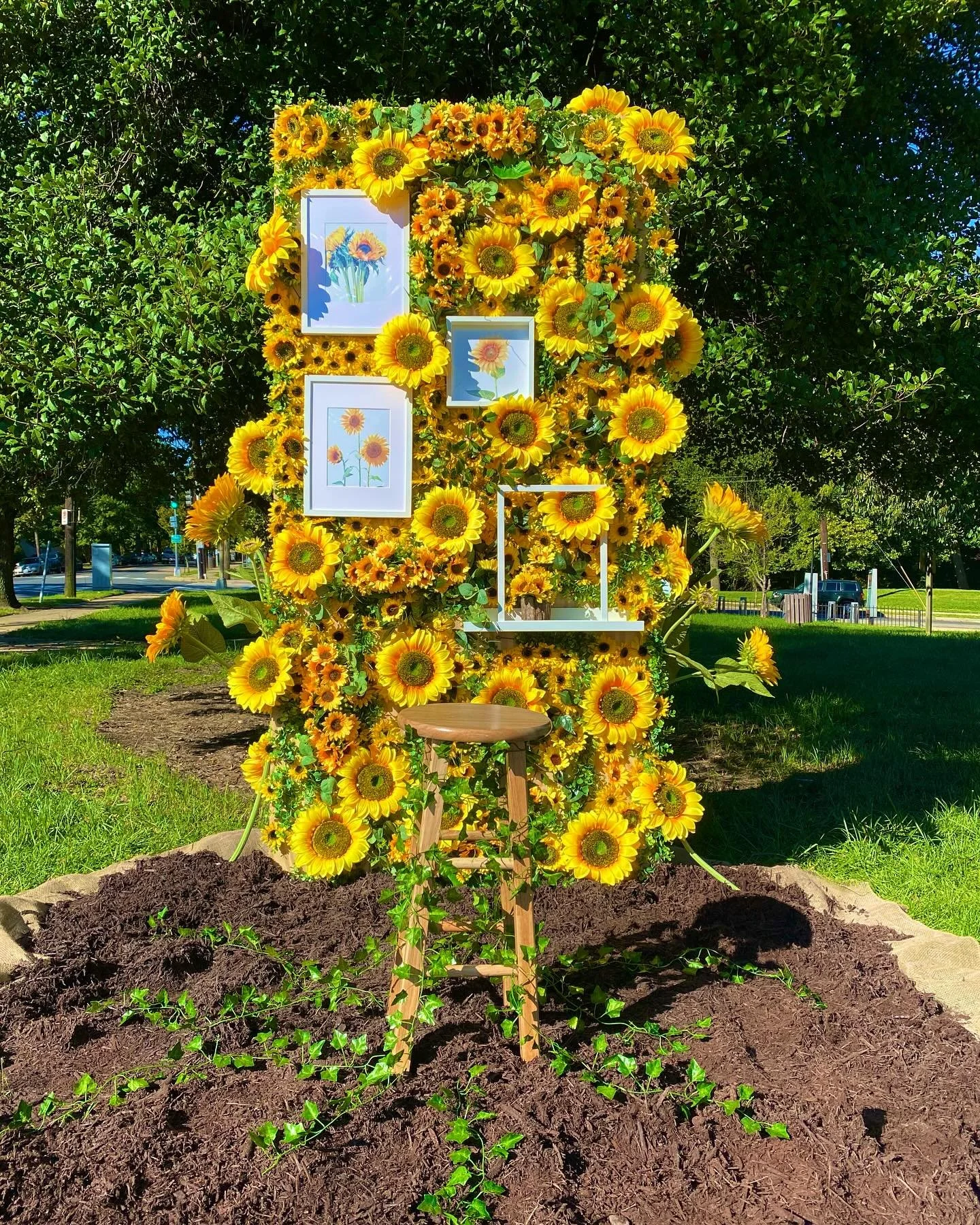 Sunflowers for the Sunflowers🌻