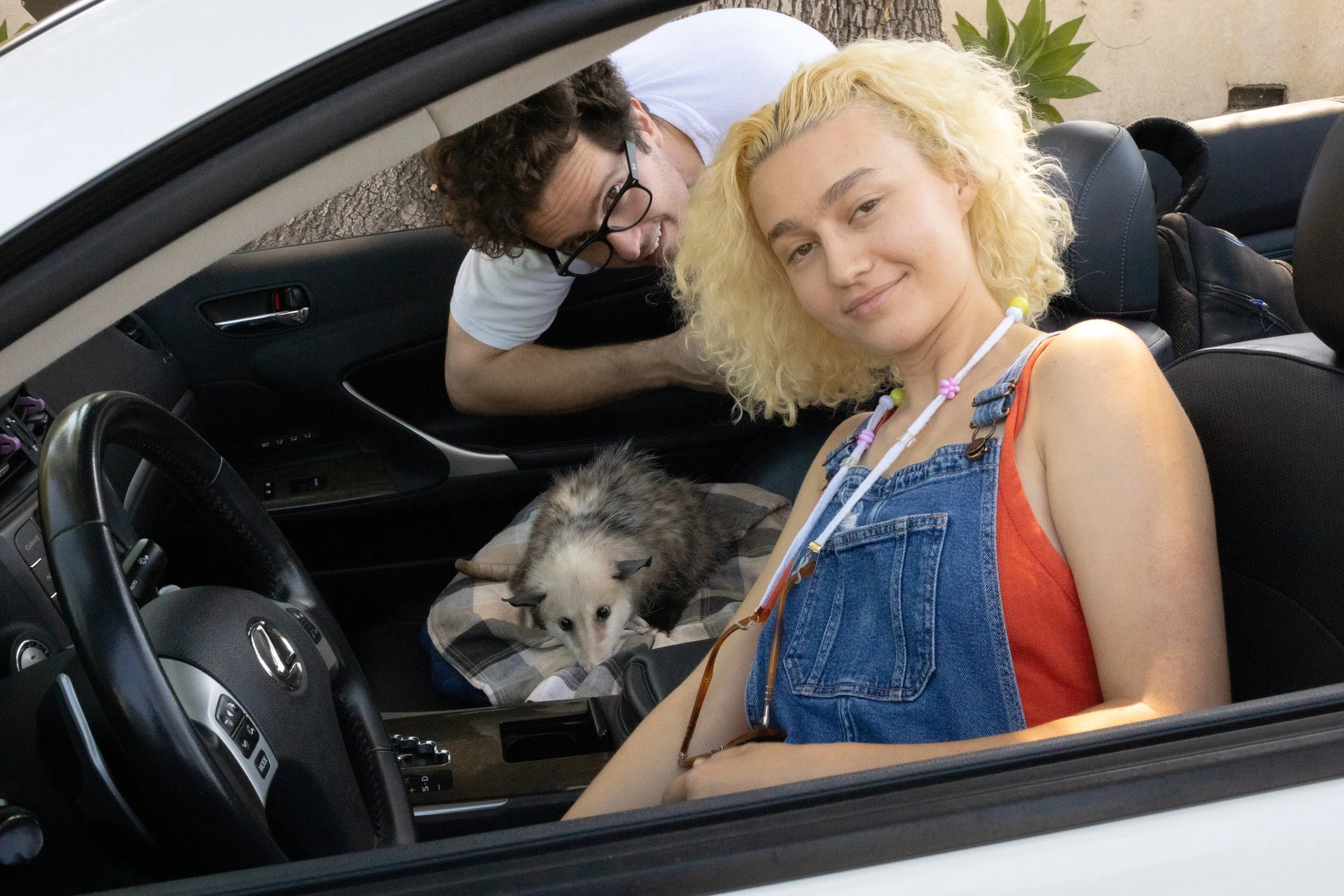 Gx5_PROMO3.jpg