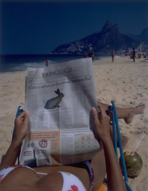 Free Alba! (Folha Ciencia), 2002