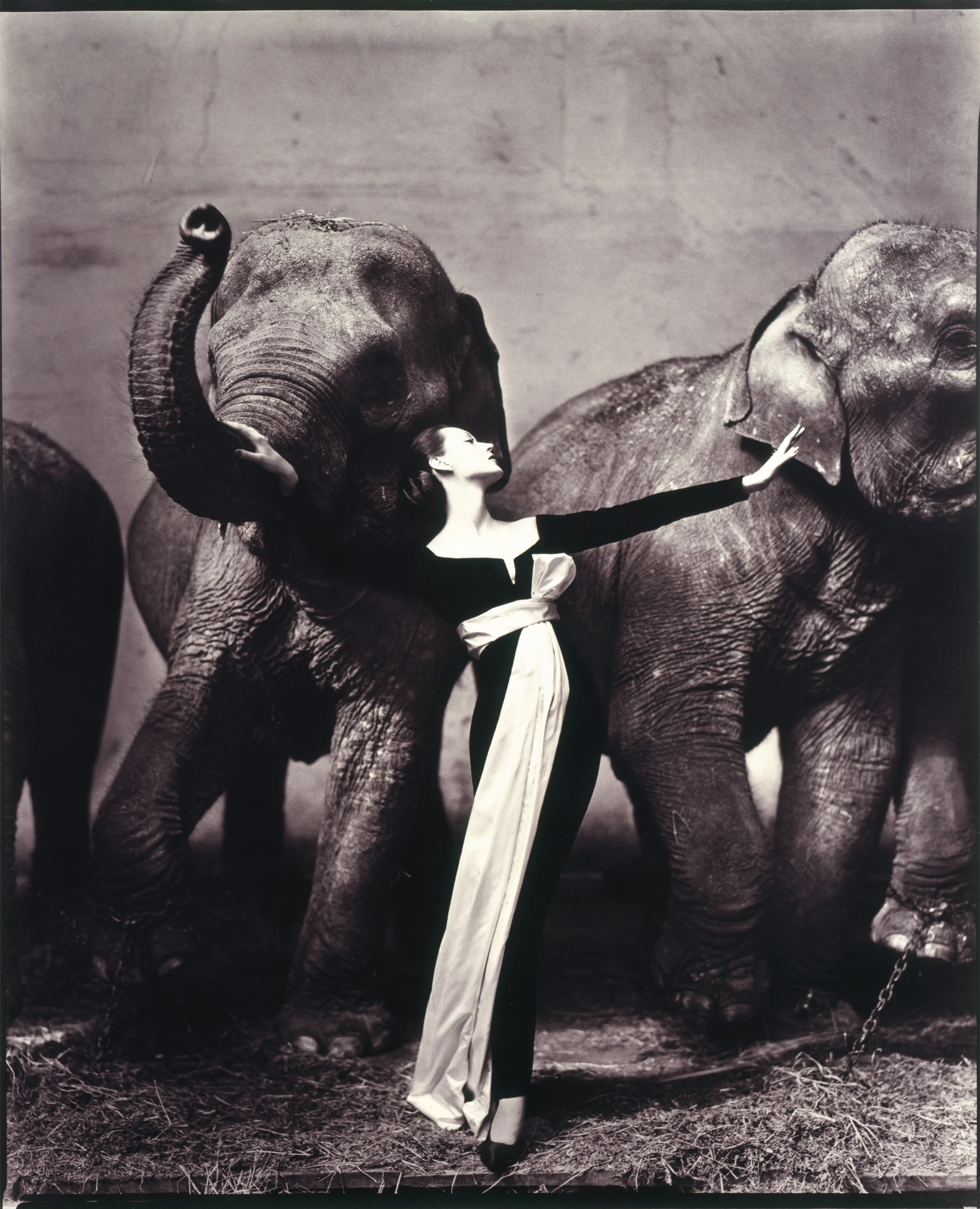 Richard and Ellen Sandor Family Collection