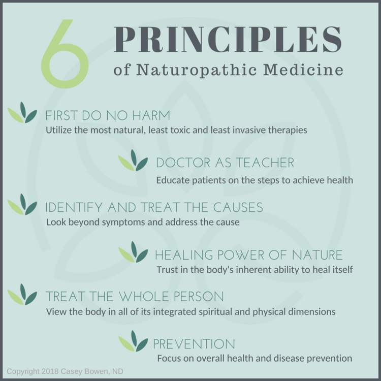 Principles+of+Naturopathic+Medicine-1.png