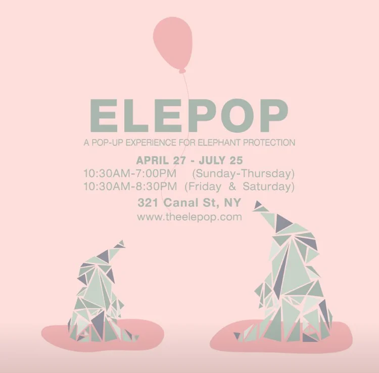 Elepop NYC - Elephant Conservation Pop Up