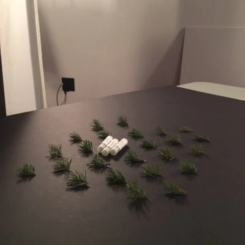 bottles-and-pines.jpg