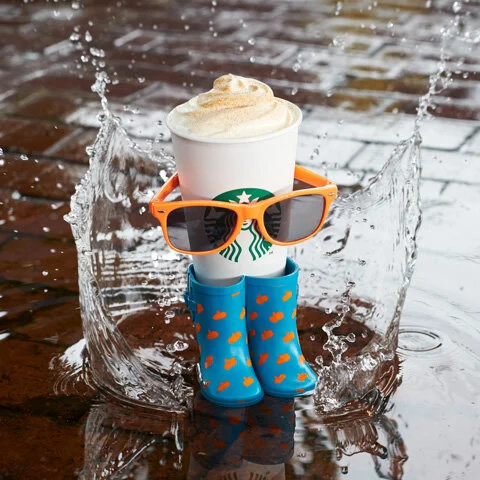 splash stylist