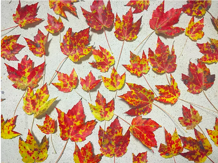 in flux, part II: beautifully bright &amp; blotchy