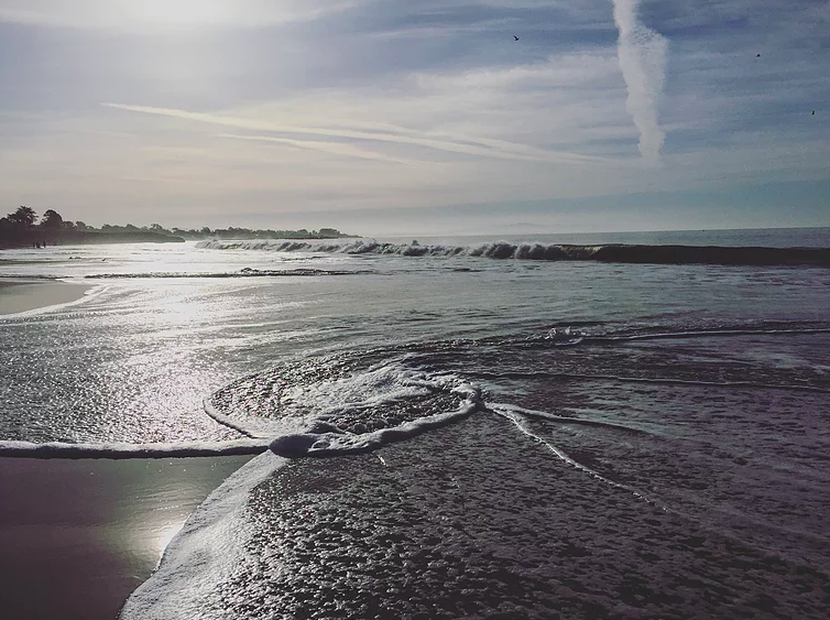 what we all have in common: earth.