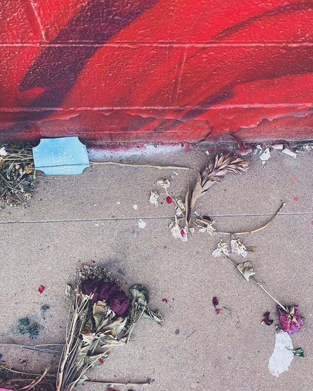 found beneath the mural @detour303, @hieroveiga and @justcreatedit made in memory of Breonna Taylor here in denver. 
note in the top left says, &ldquo;your life matters.&rdquo; _
like these decaying flowers, Breonna&rsquo;s name has faded; faded into