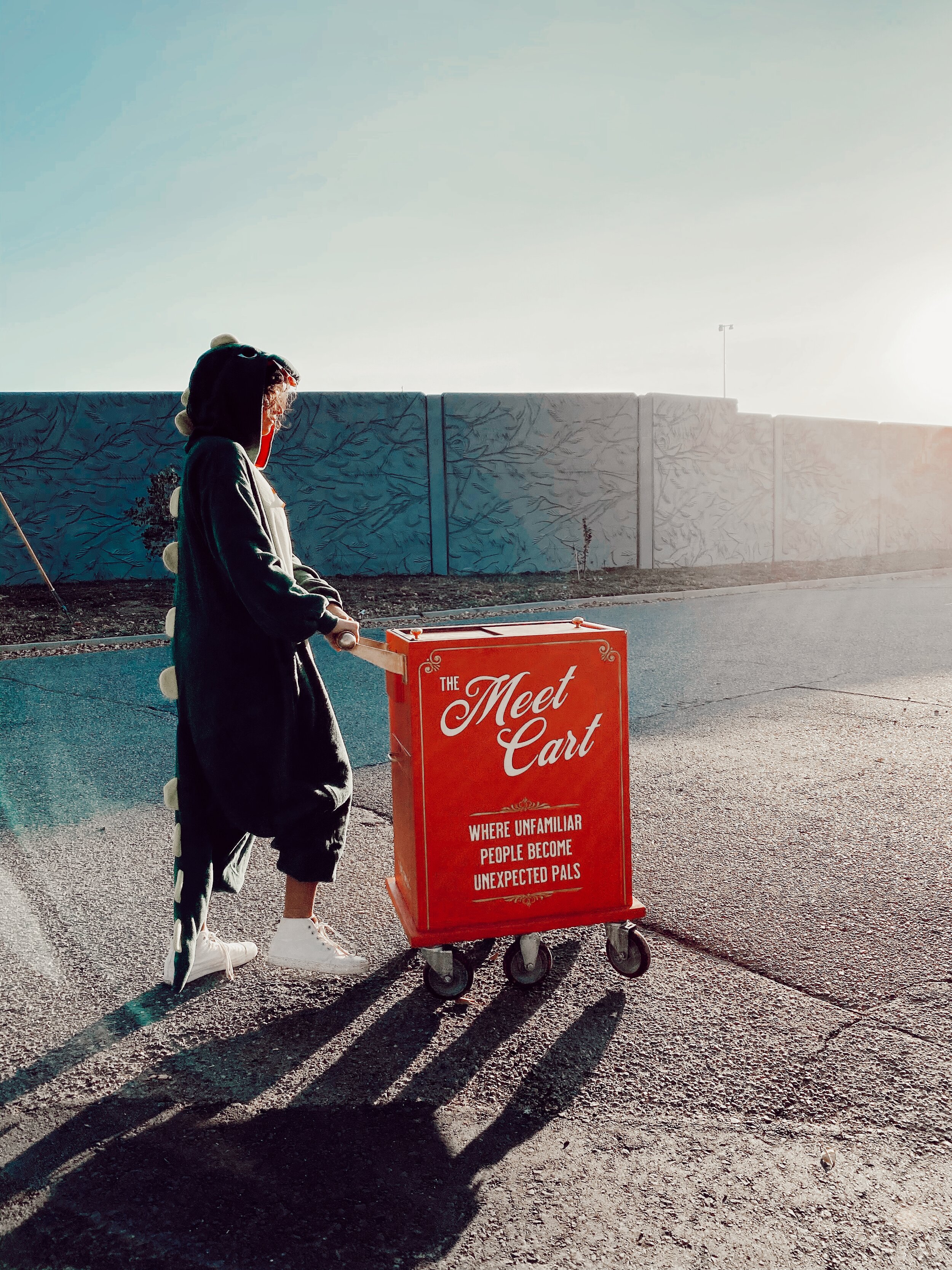 the meet cart on the interwebs