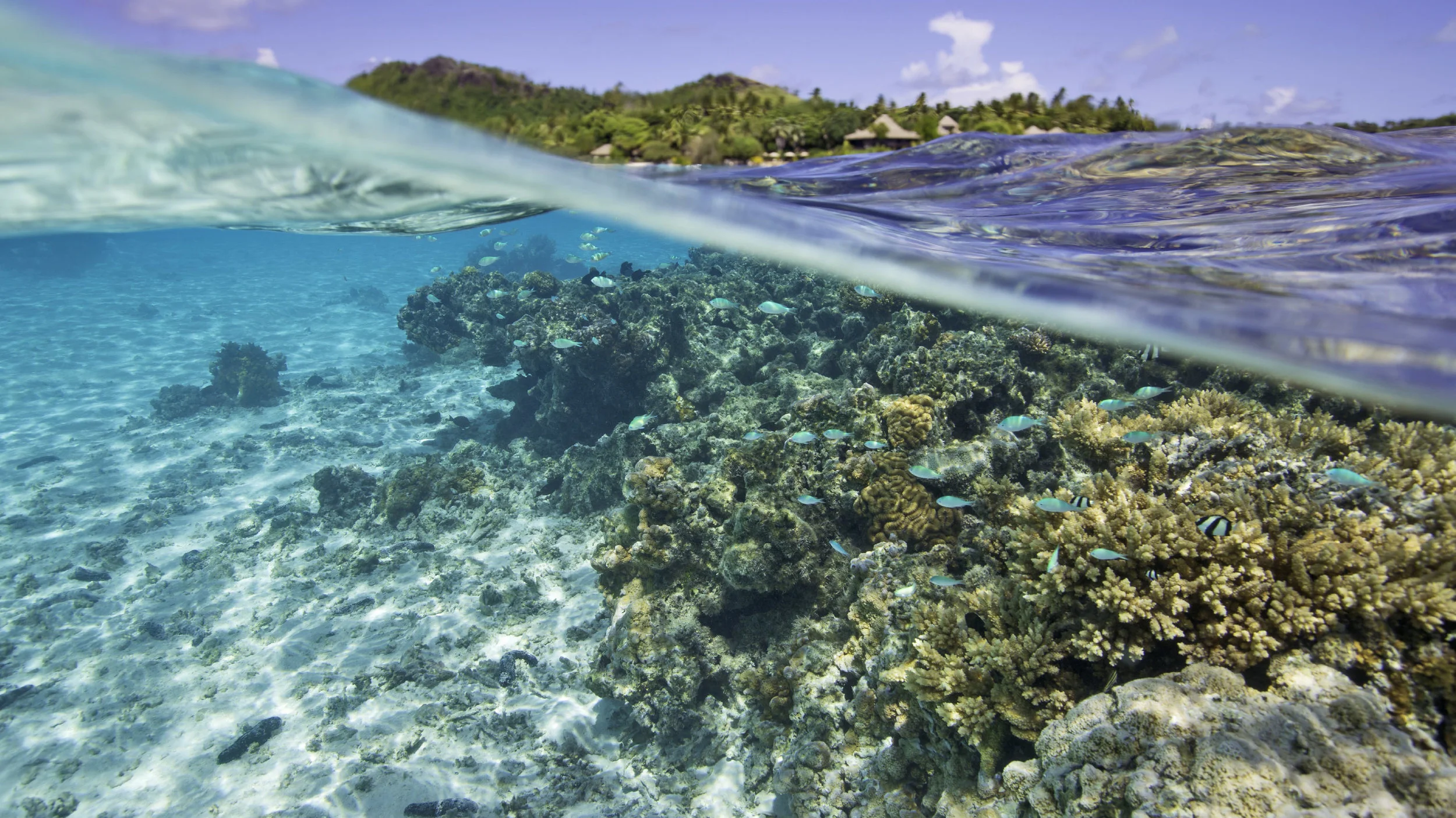 CLR_Headers_r1v1-Kiribati copy.jpg