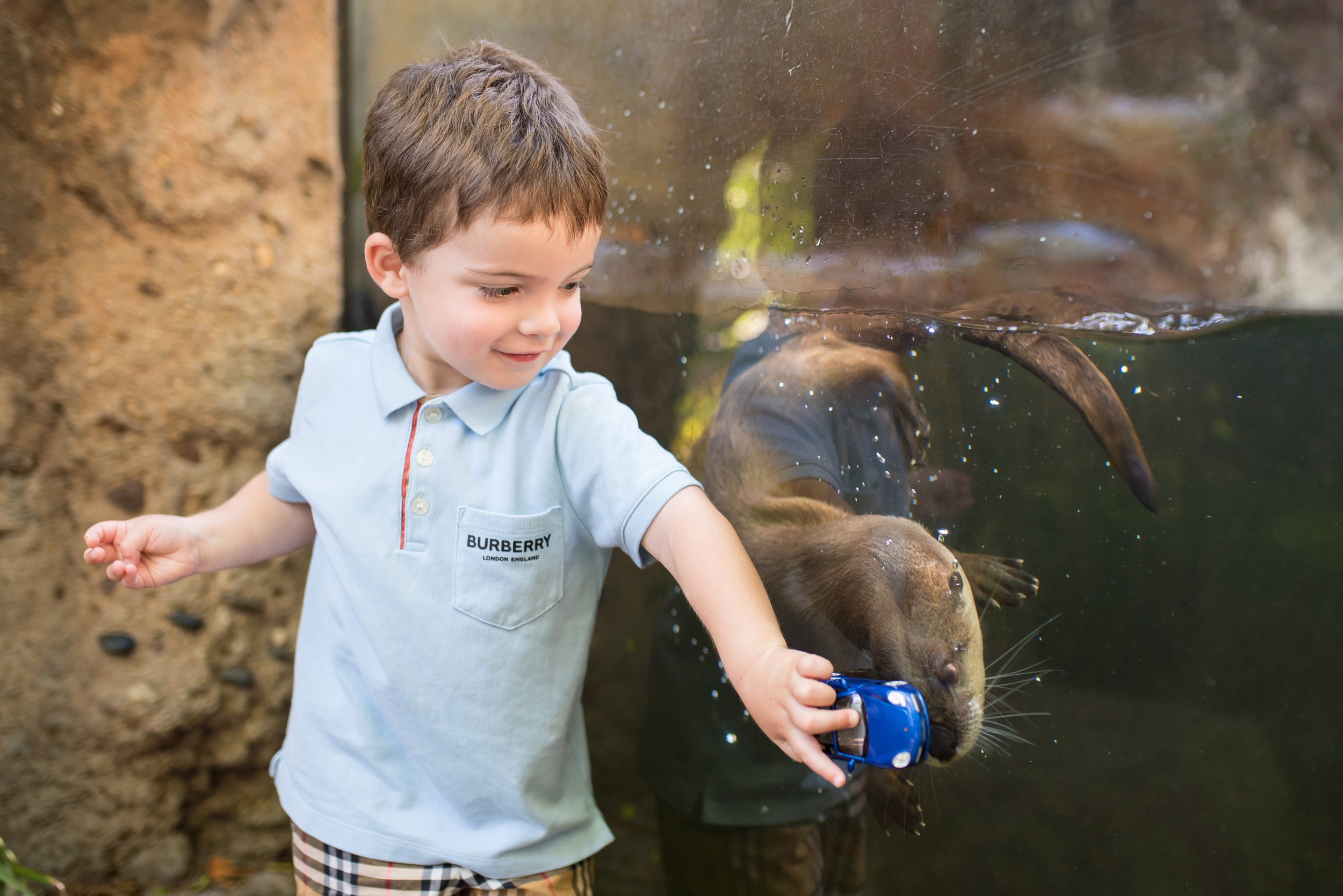 Palm Beach Kids Photographer