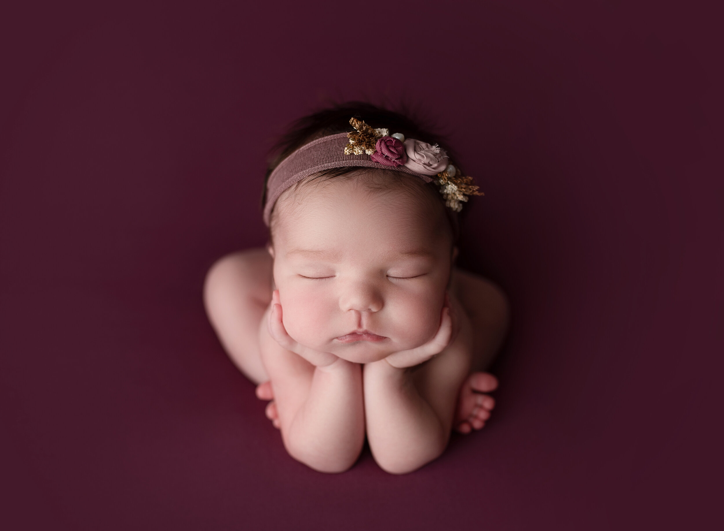 wellington fl newborn photographer