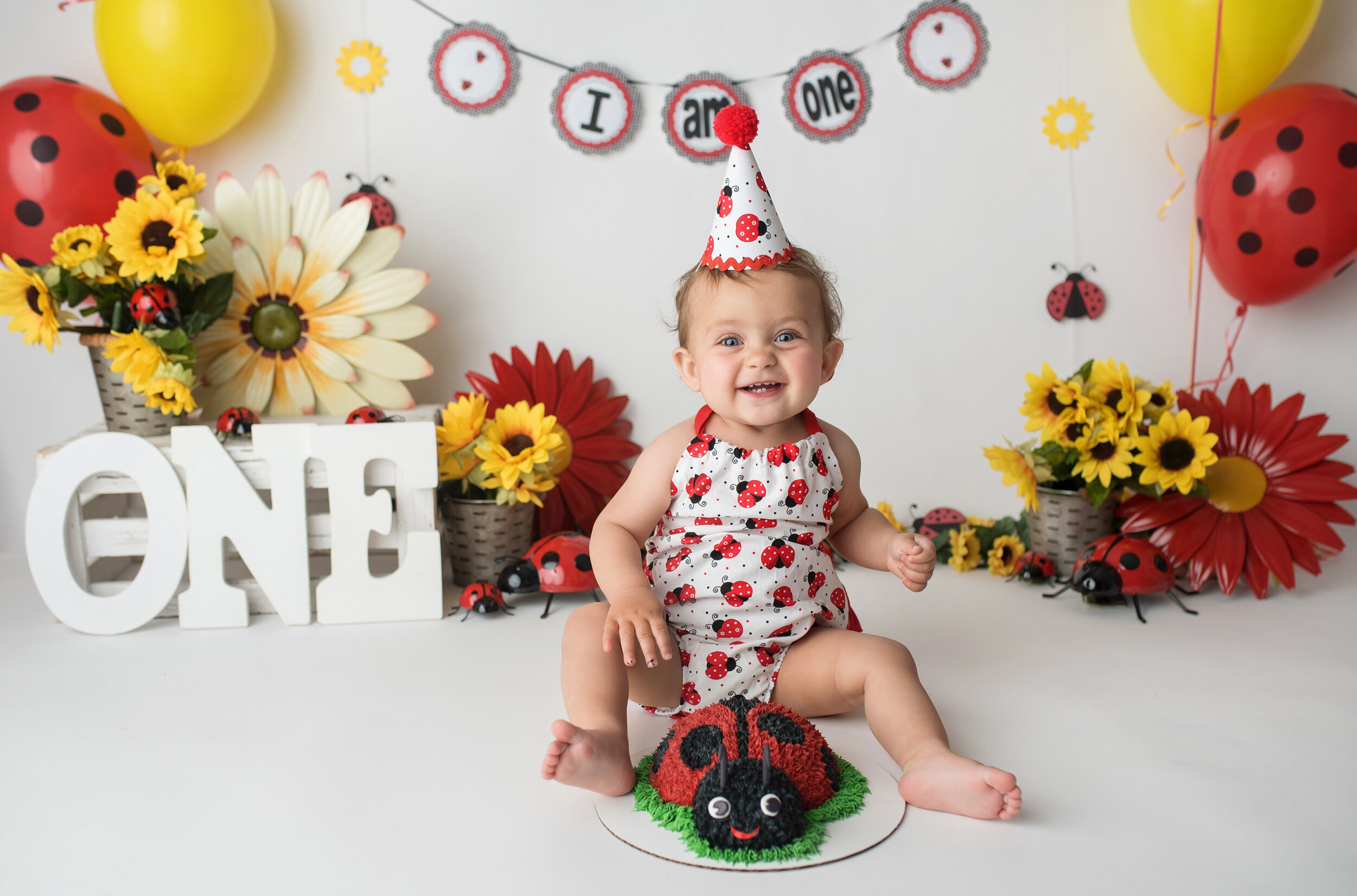 first birthday photographer wellington fl