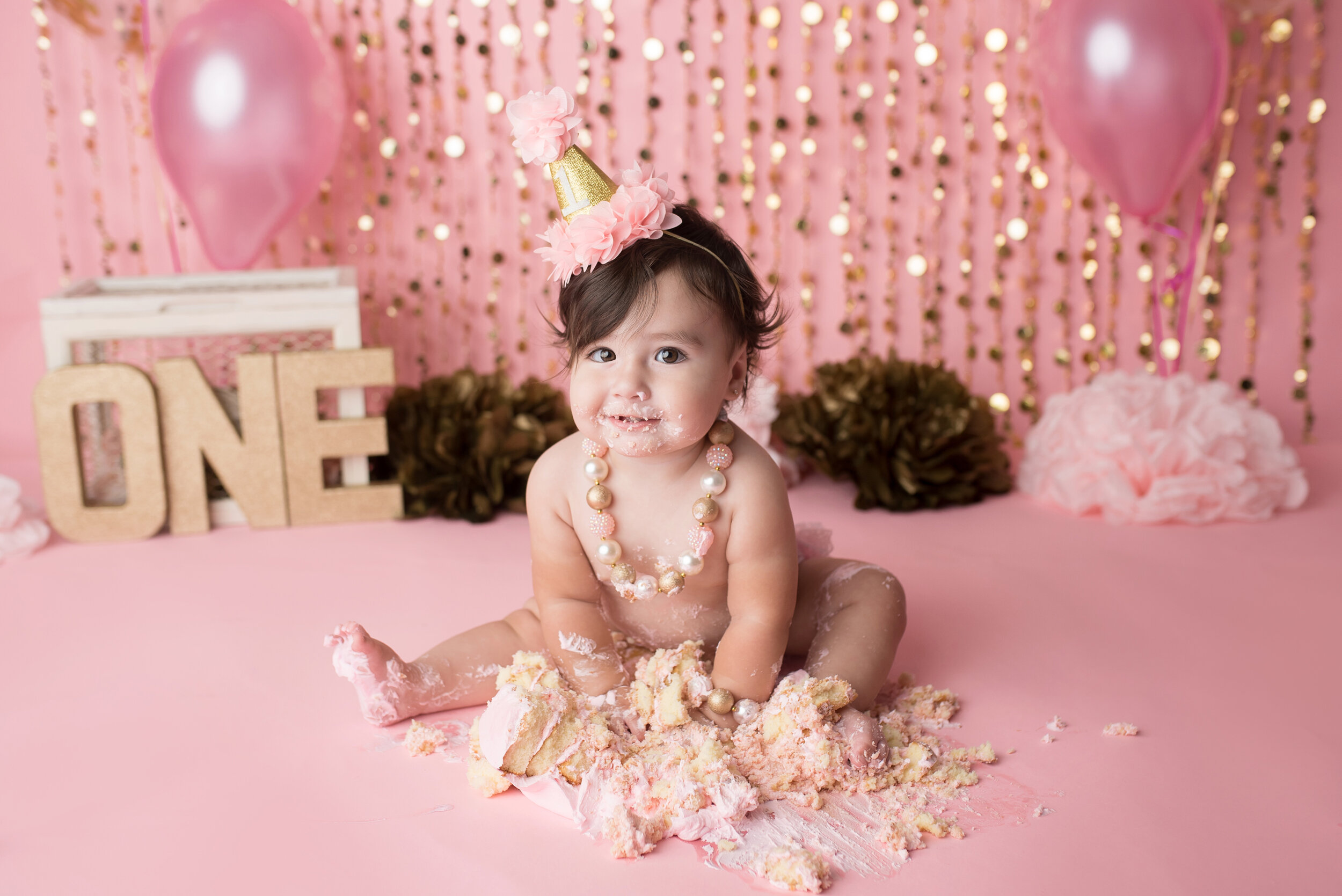 first birthday photographer wellington fl