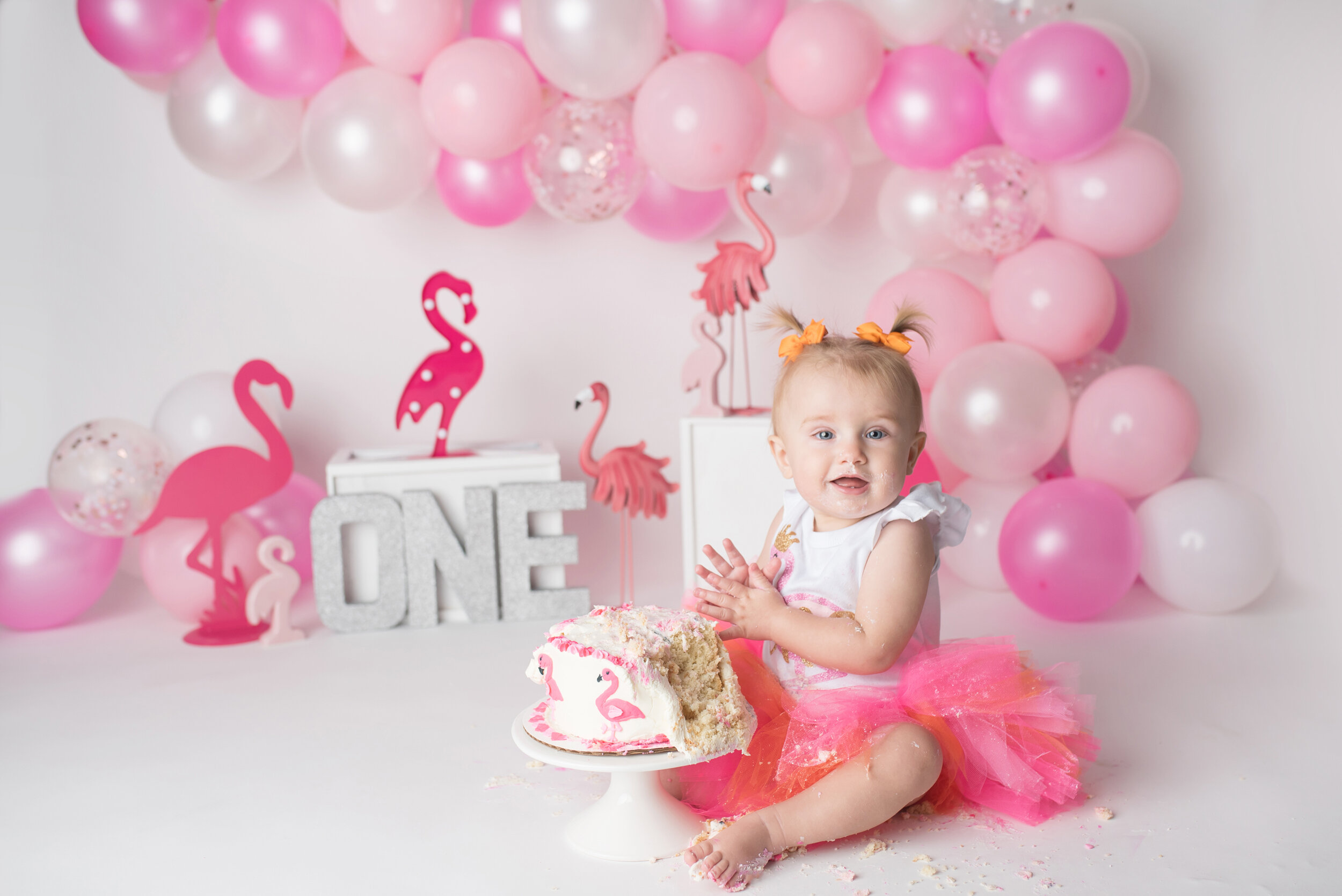 first birthday photographer wellington fl