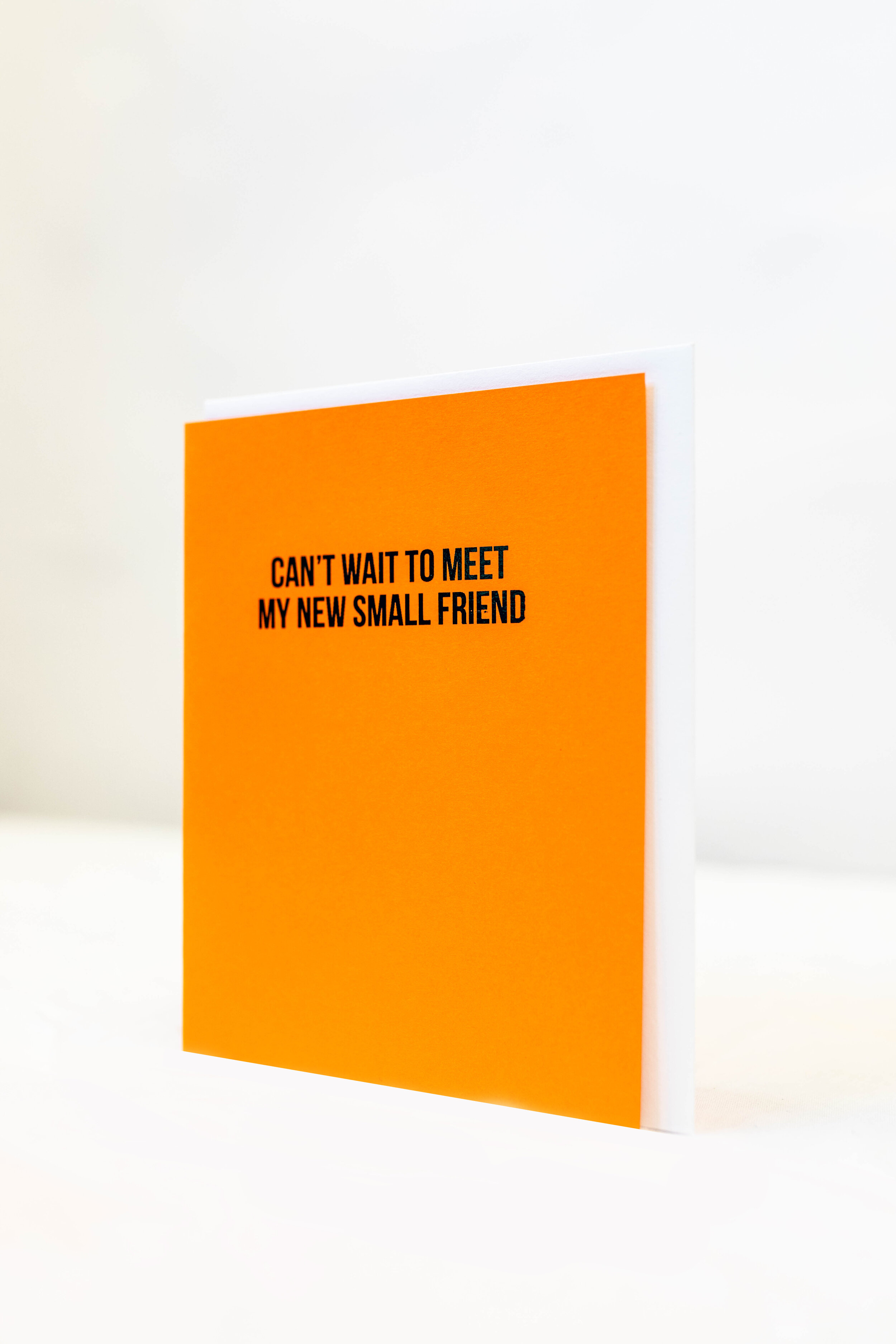 Can't Wait to Meet My New Small Friend