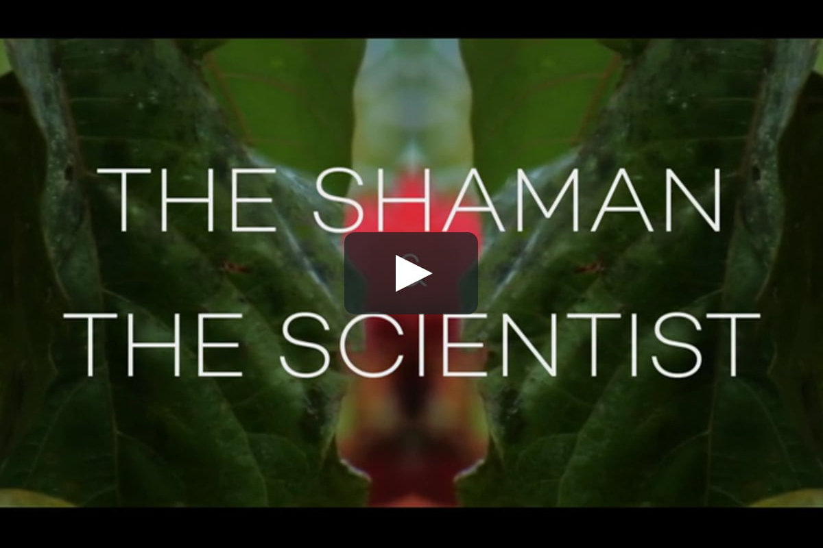 The Shaman and the Scientist Trailer A short exploration of knowledge and scientific discovery, taking a side by side look at indigenous plant-based medicine in the Amazon jungle and its implications for new drug discovery. Role: Director, Executive Producer