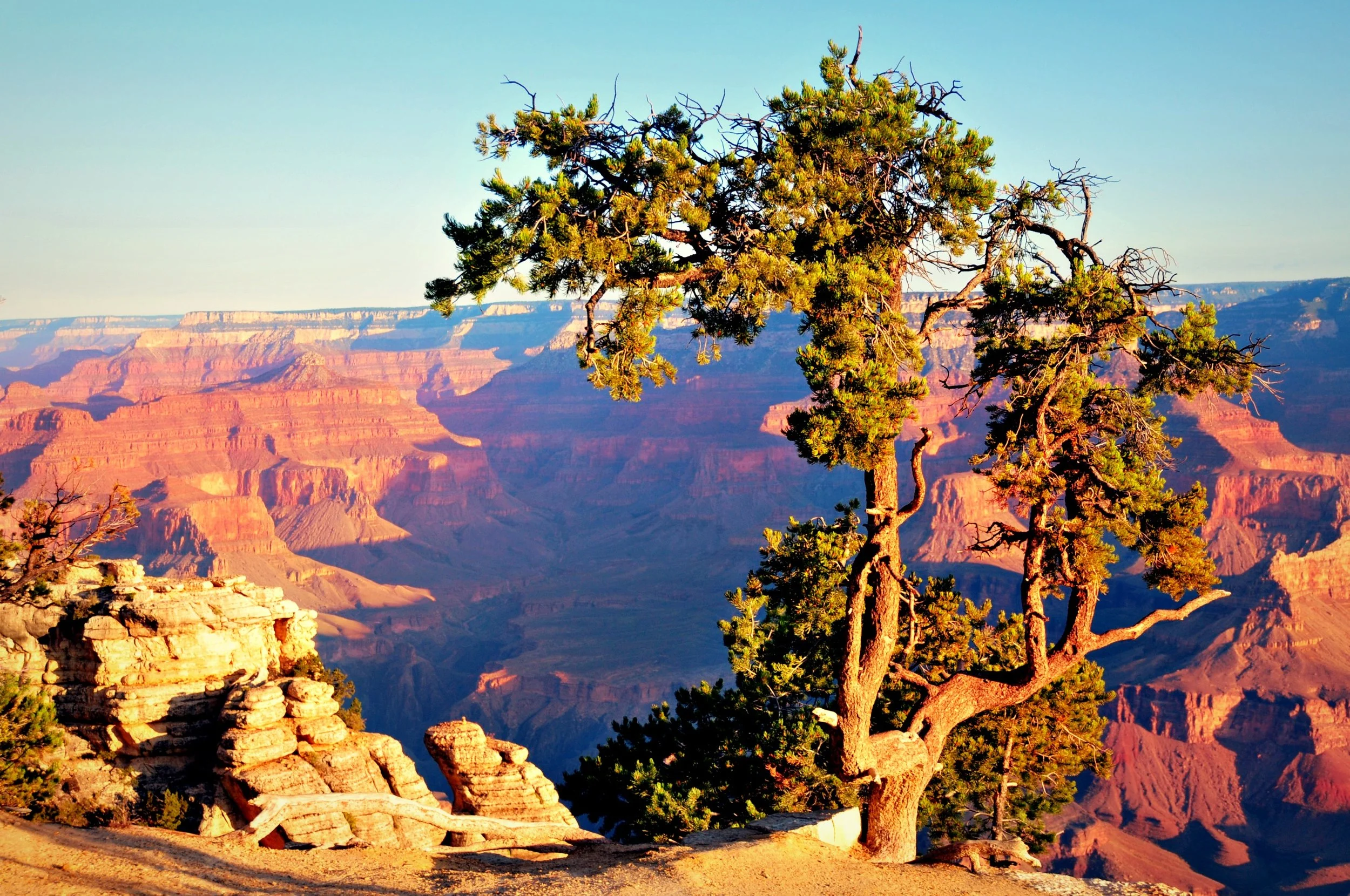 Grand Canyon vista
