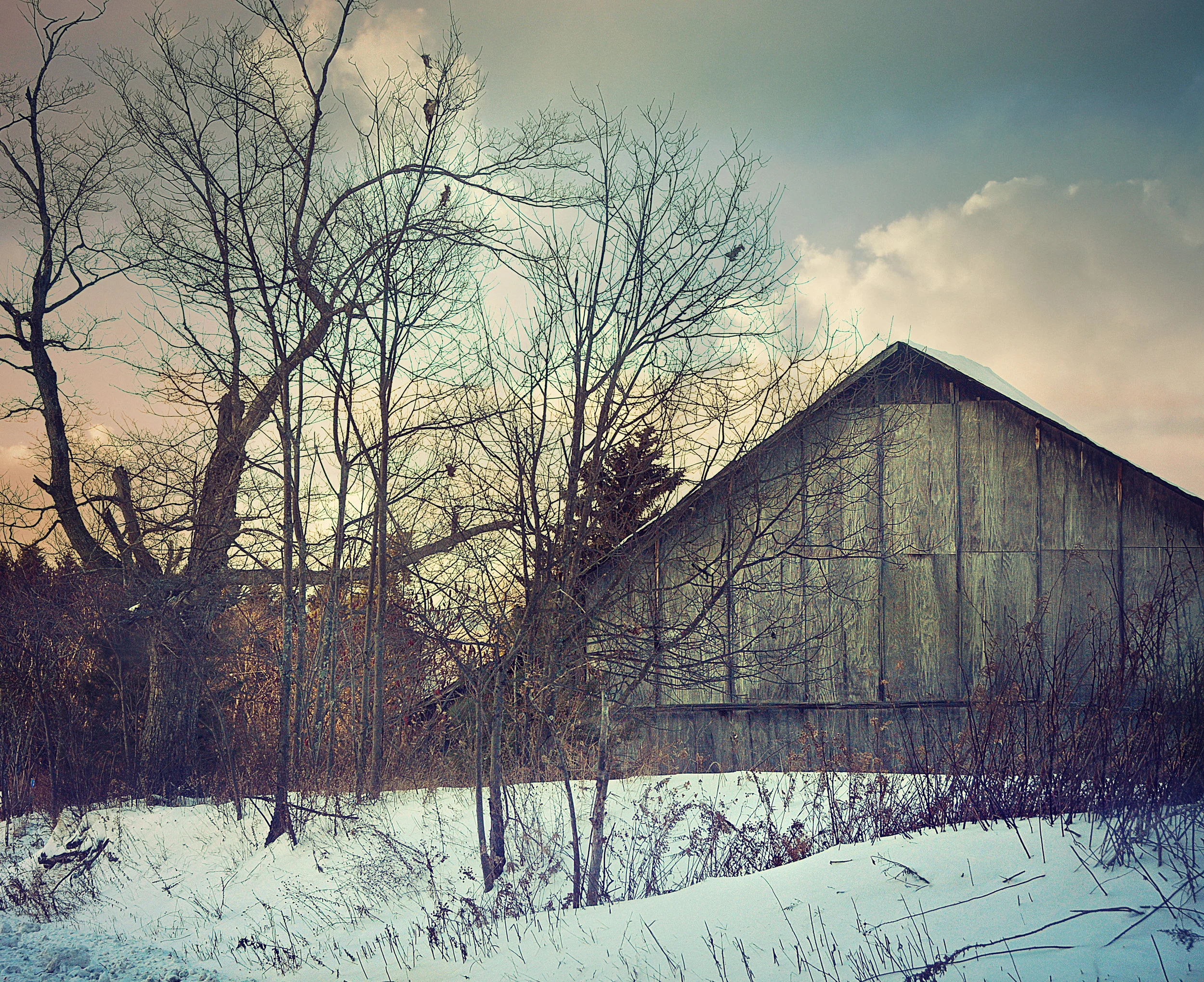 Roger's Farm