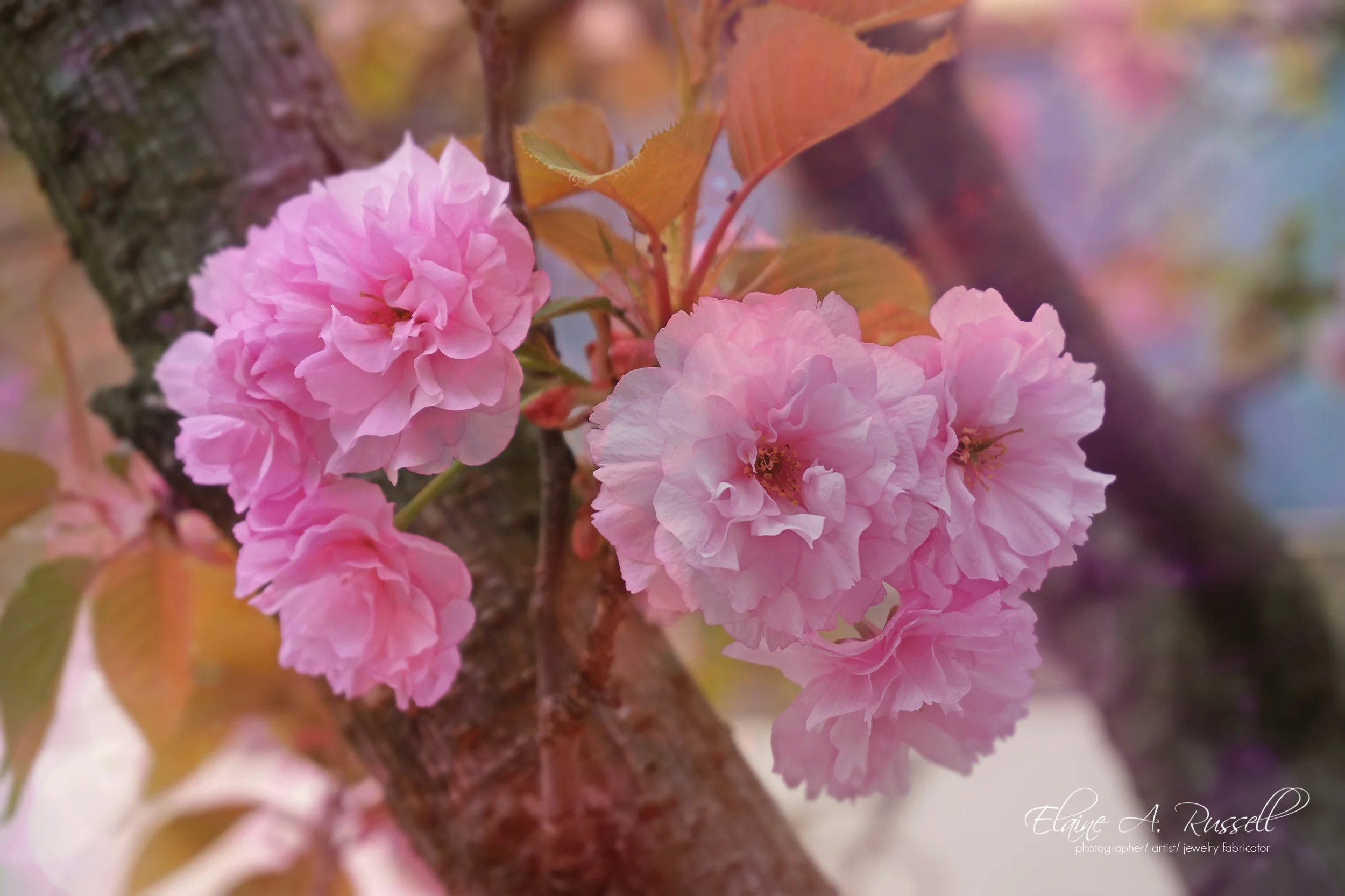 createDaily2-2.jpg
