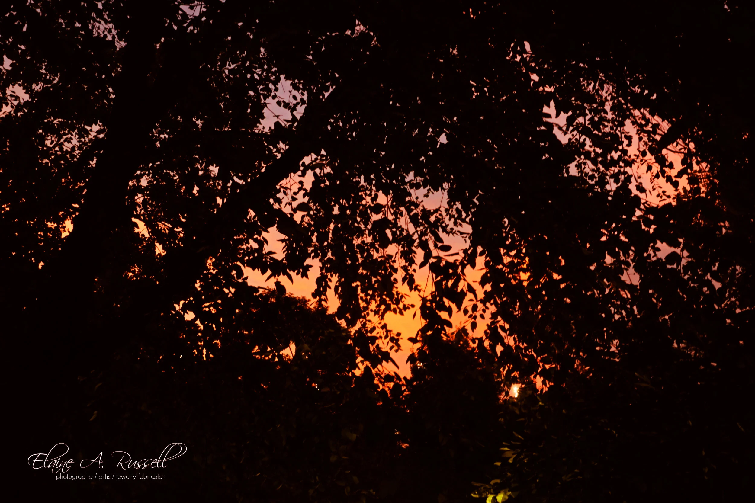 sunset.jpg
