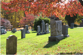 Headstone Cleaning Workshop
