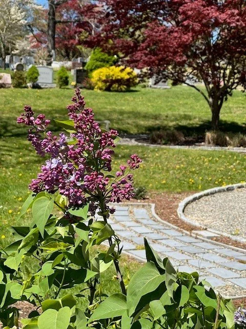 Hillside's May Newsletter 