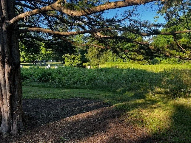 A Greener Goodbye: Discover Natural Burial at Hillside