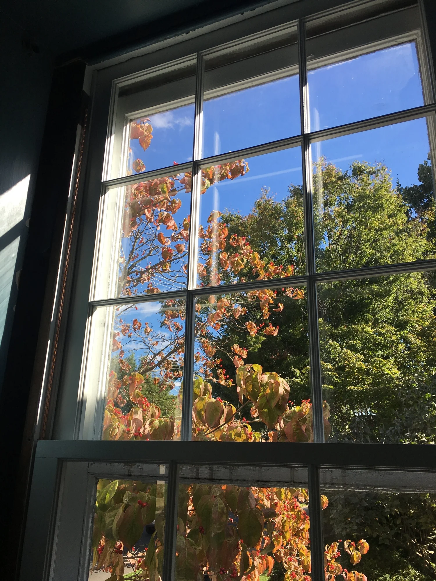 Old Windows Back Restoring Historic Wood Windows