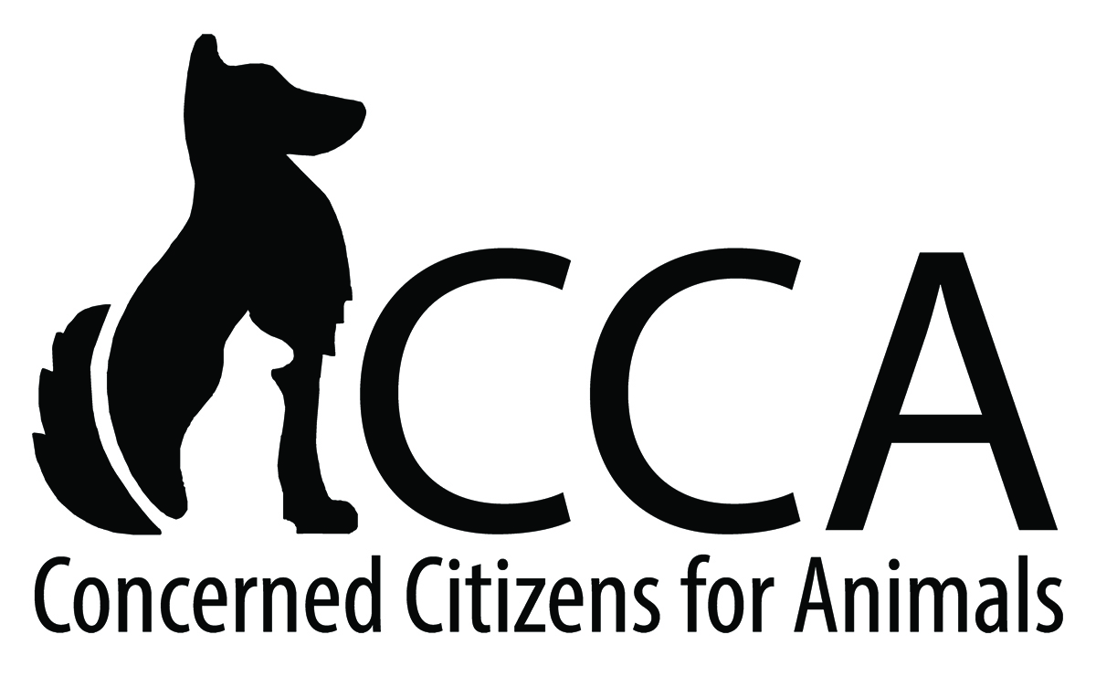 CCA Revised Logo - Low Res.jpg