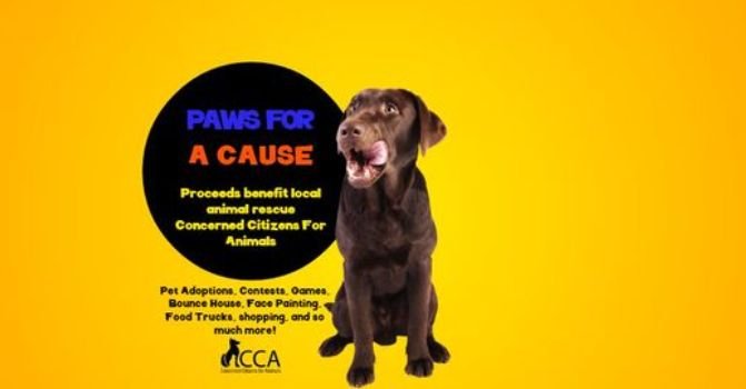 Paws for a Cause 2022.jpg