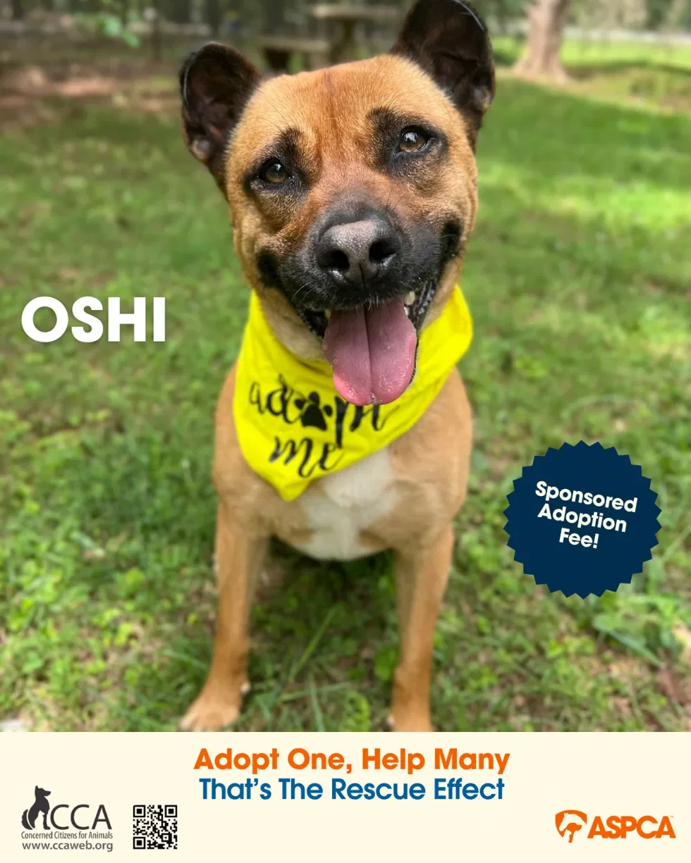 Adopt One, Help Many: We're Part of The Rescue Effect