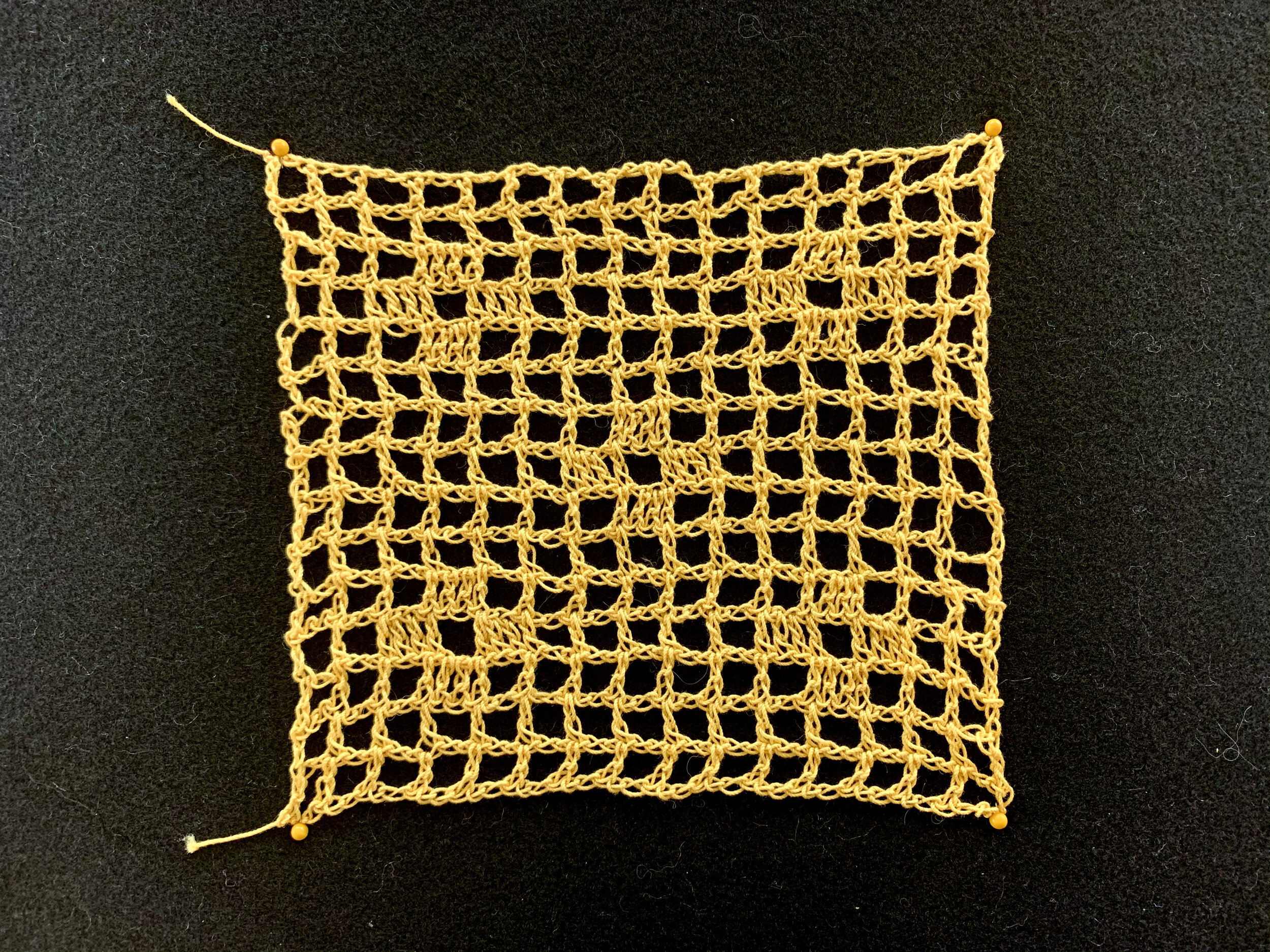 Filet Crochet Study #1