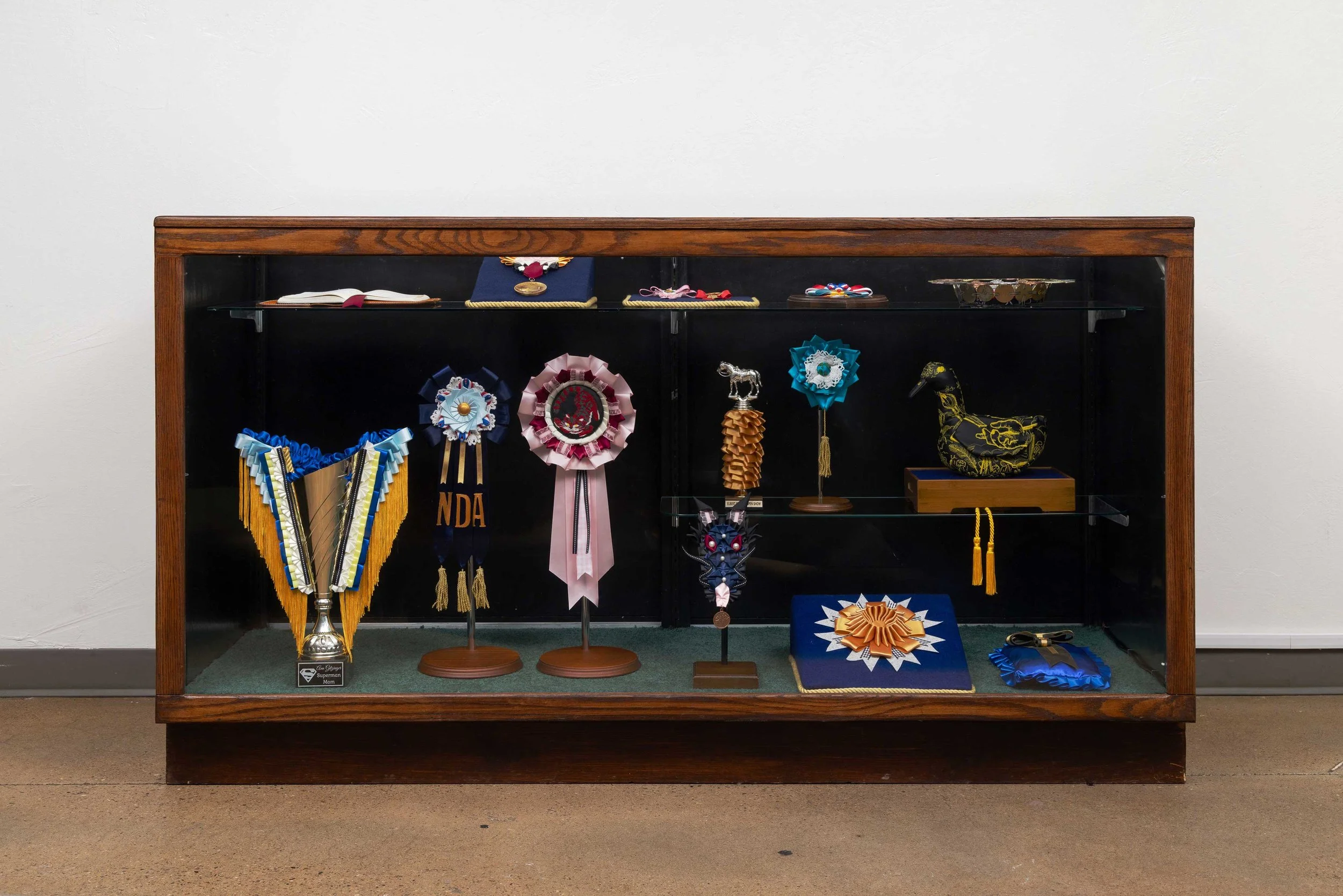 TrophyCabinet.jpg