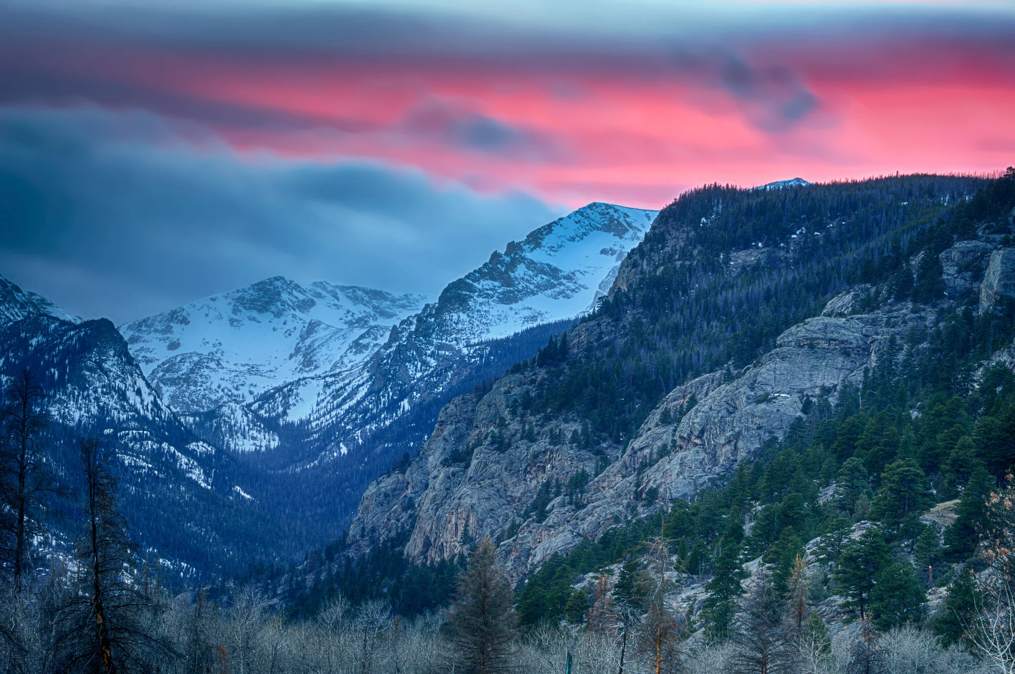 blog nature header image.jpg