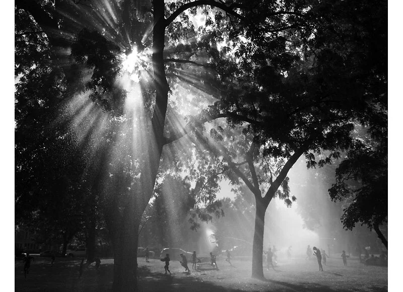 Sunburst (Aug 2019)